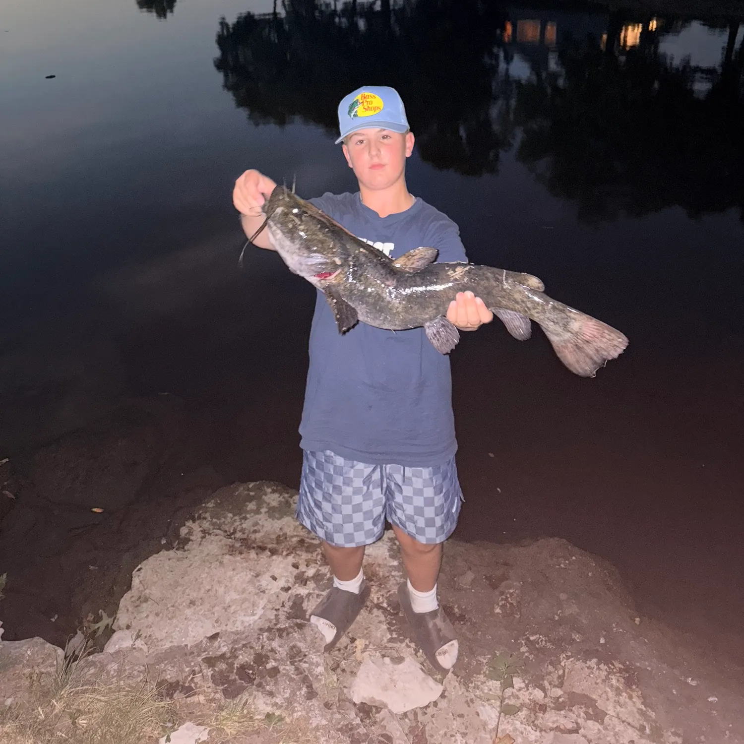 Flathead catfish caught on Fishbrain