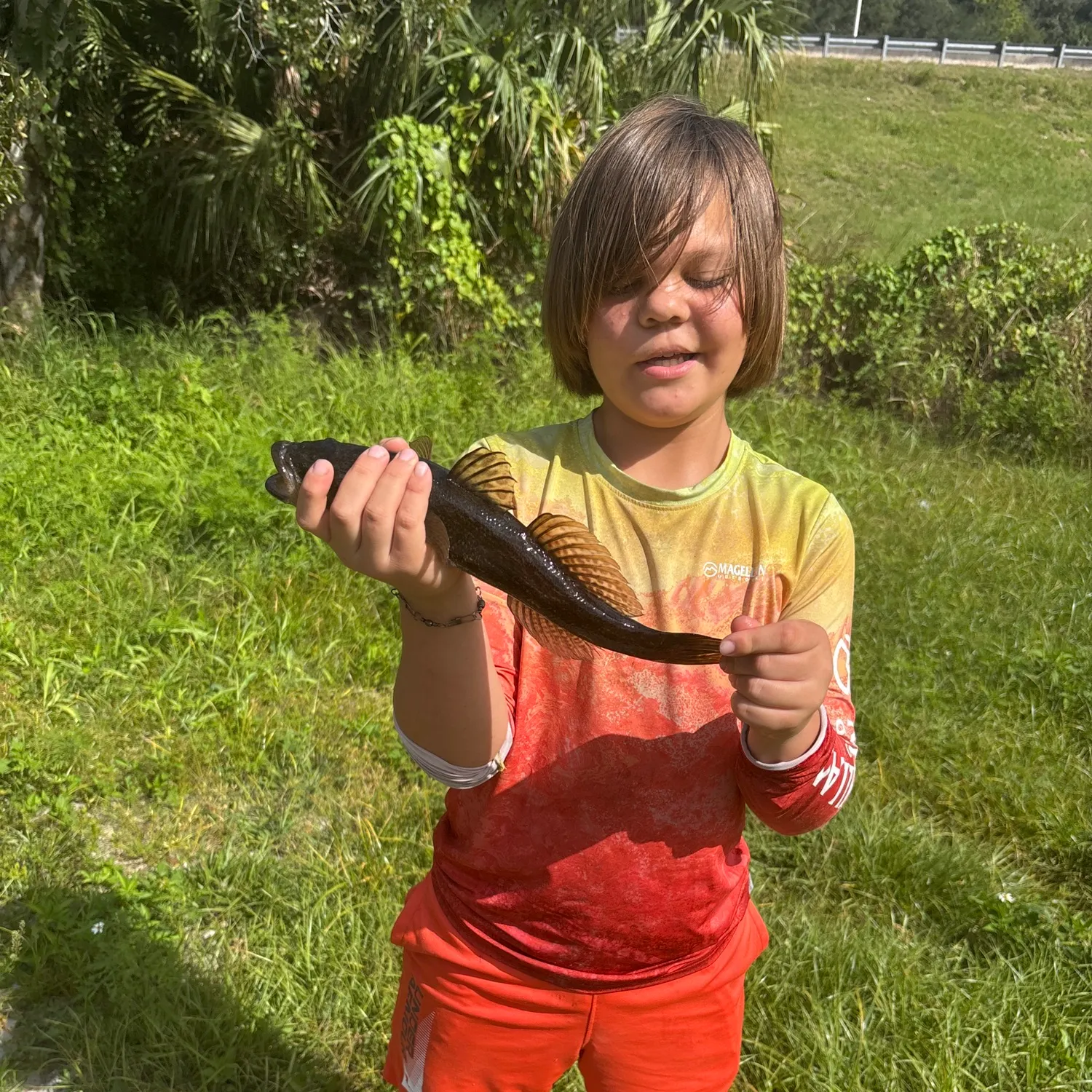 The most recent Bigmouth sleeper catches on Fishbrain