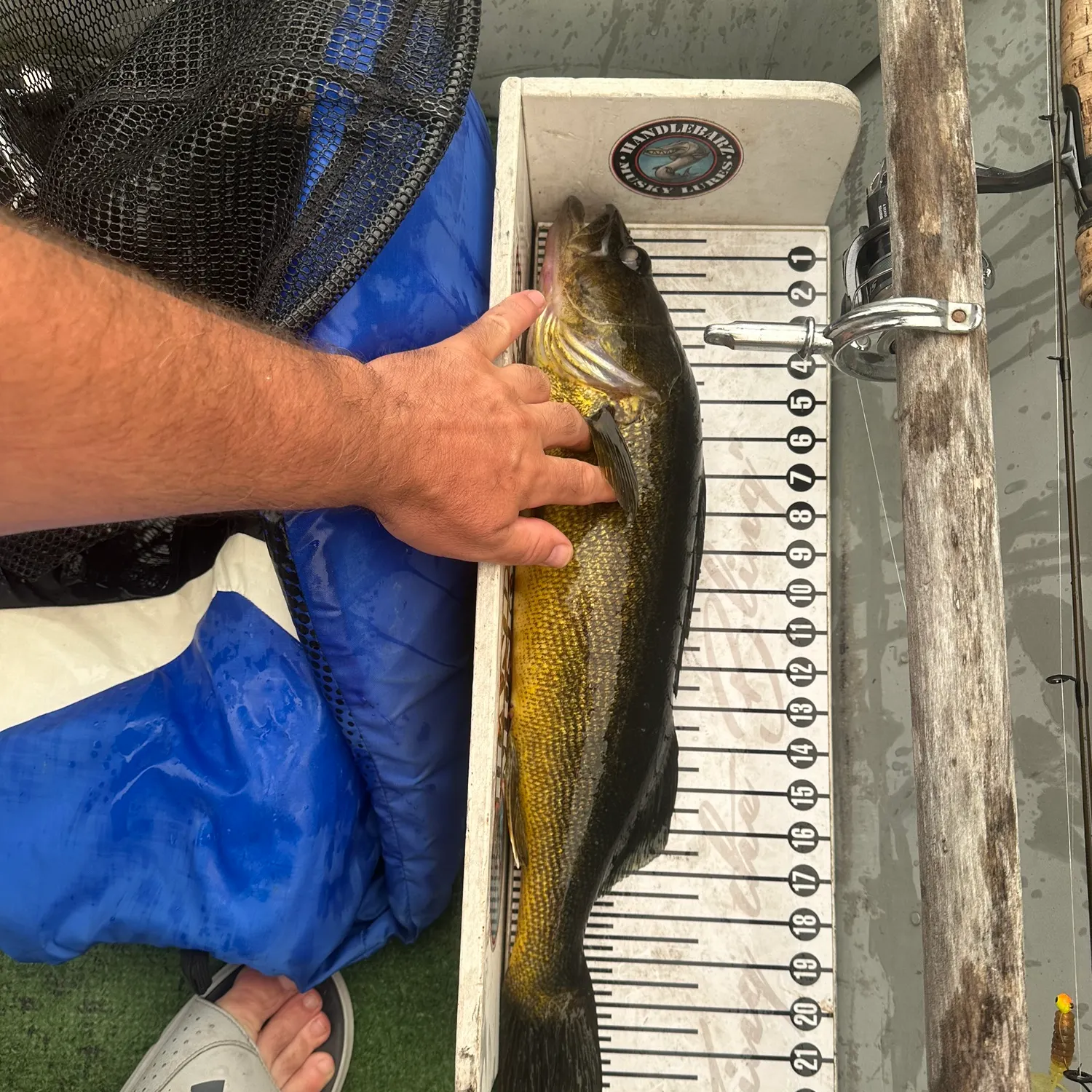 Walleye caught on Fishbrain