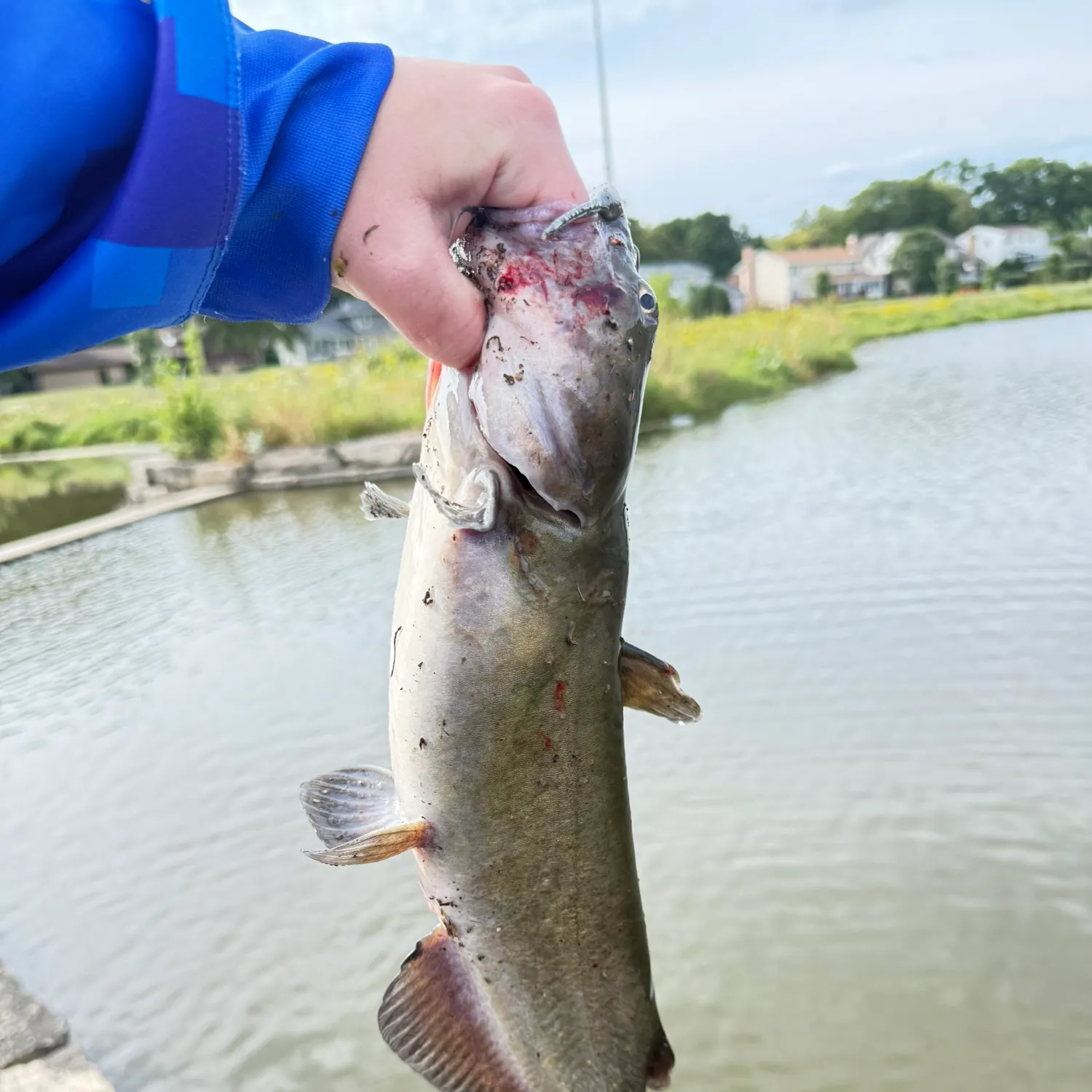 catch