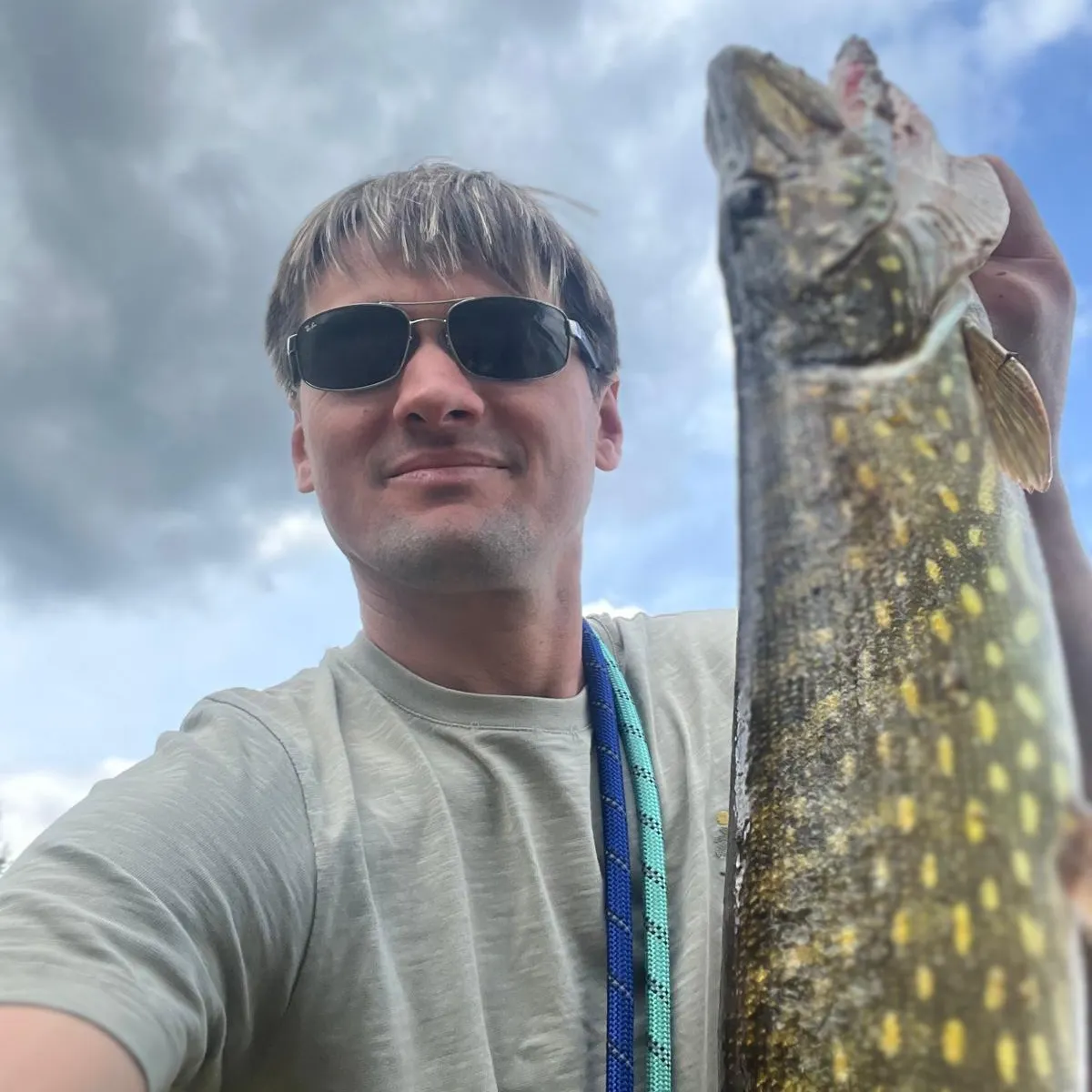 Northern pike caught on Fishbrain
