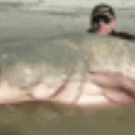 The most recent African threadfish catches on Fishbrain