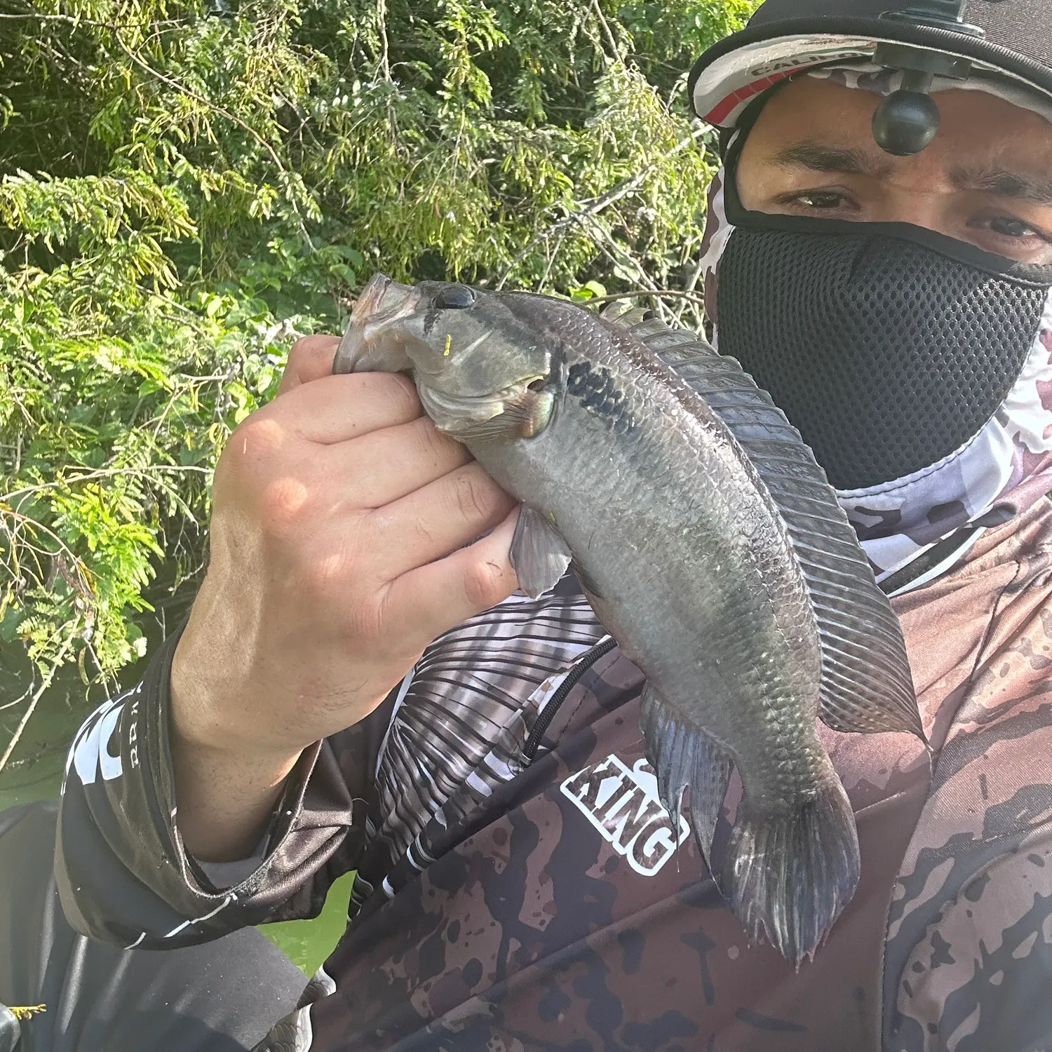 most liked catch image