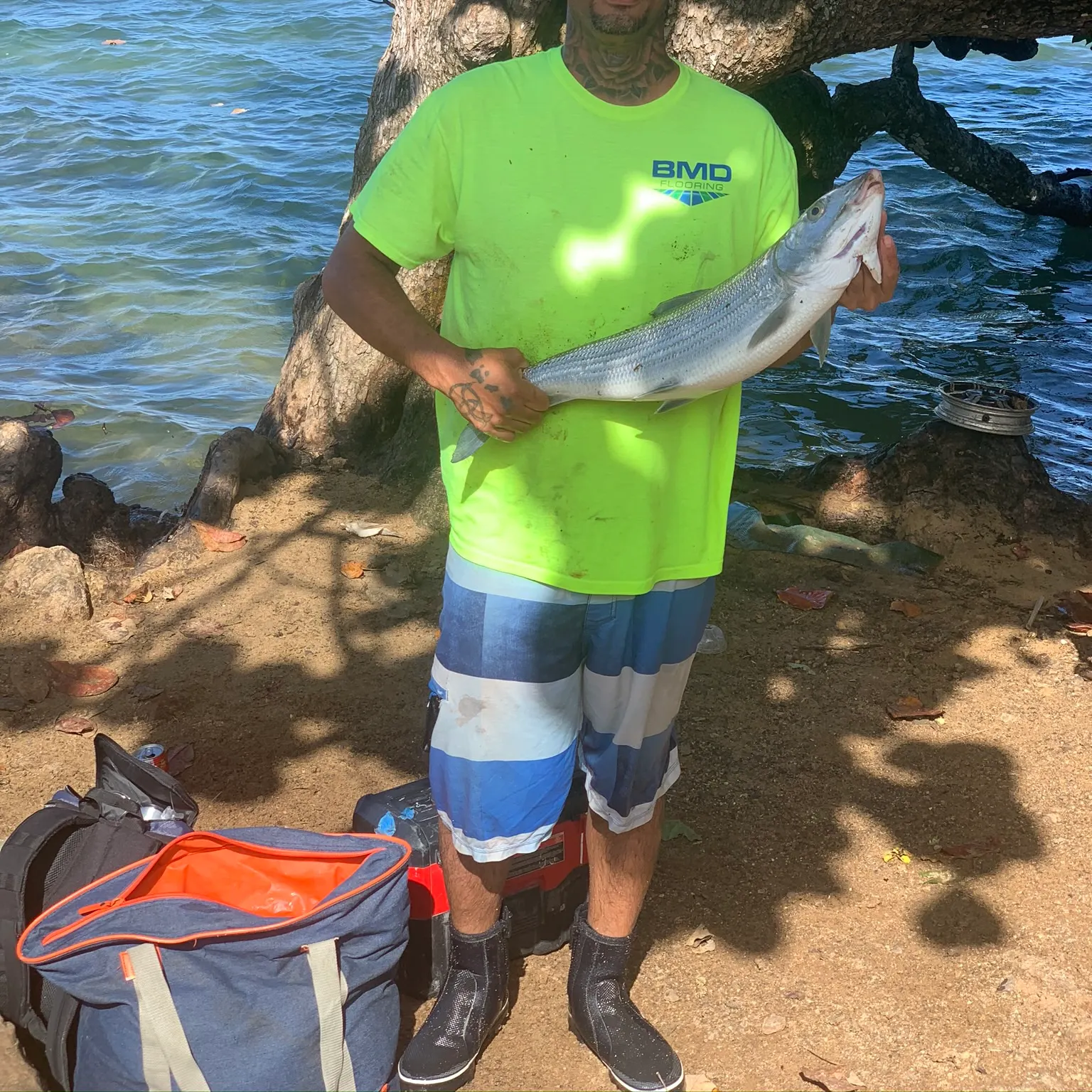 The most recent West Atlantic bonefish catches on Fishbrain