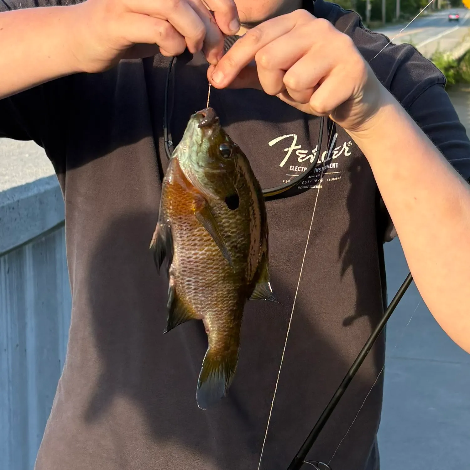 catch