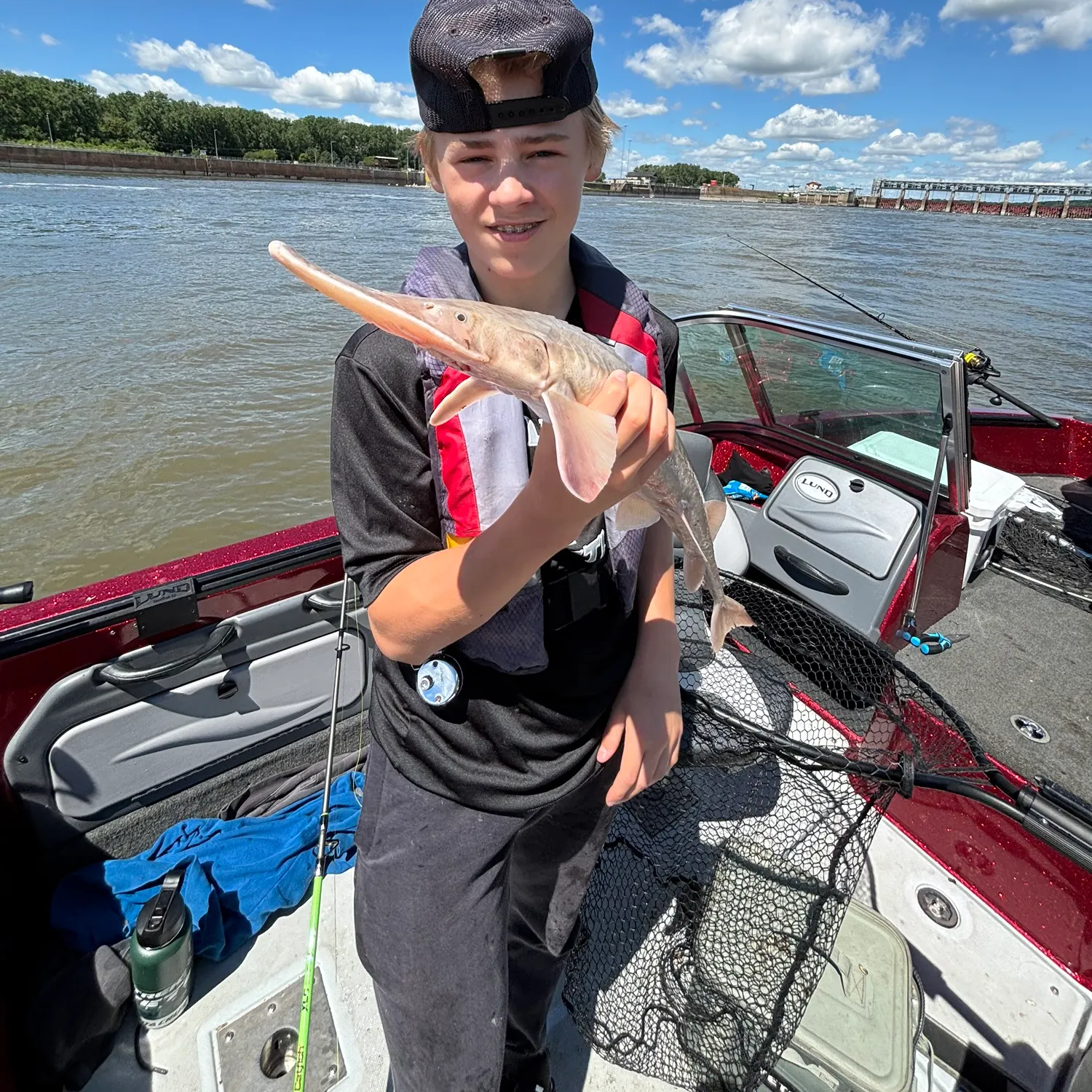 The most recent Shovelnose sturgeon catches on Fishbrain