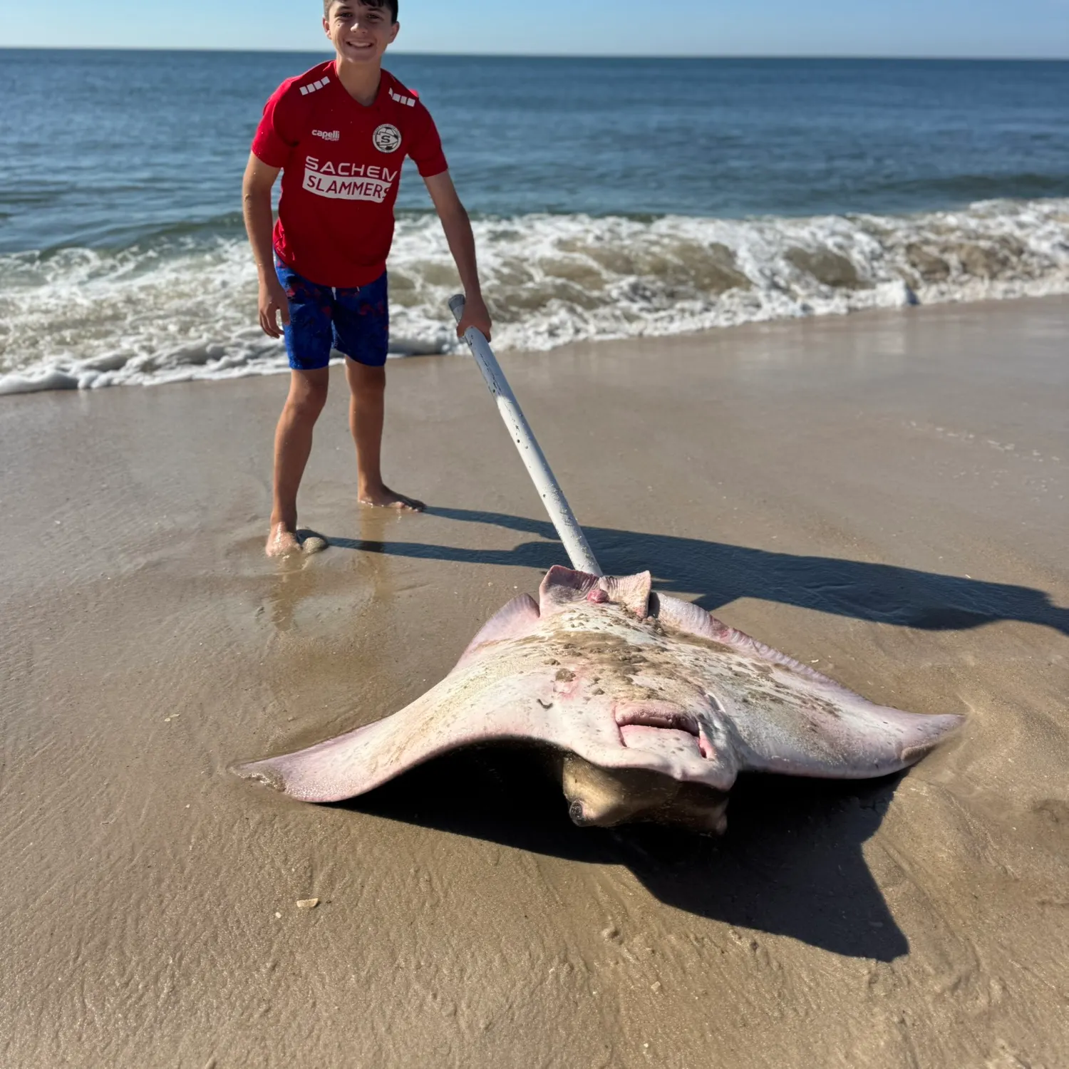 The most recent Cownose Ray catches on Fishbrain