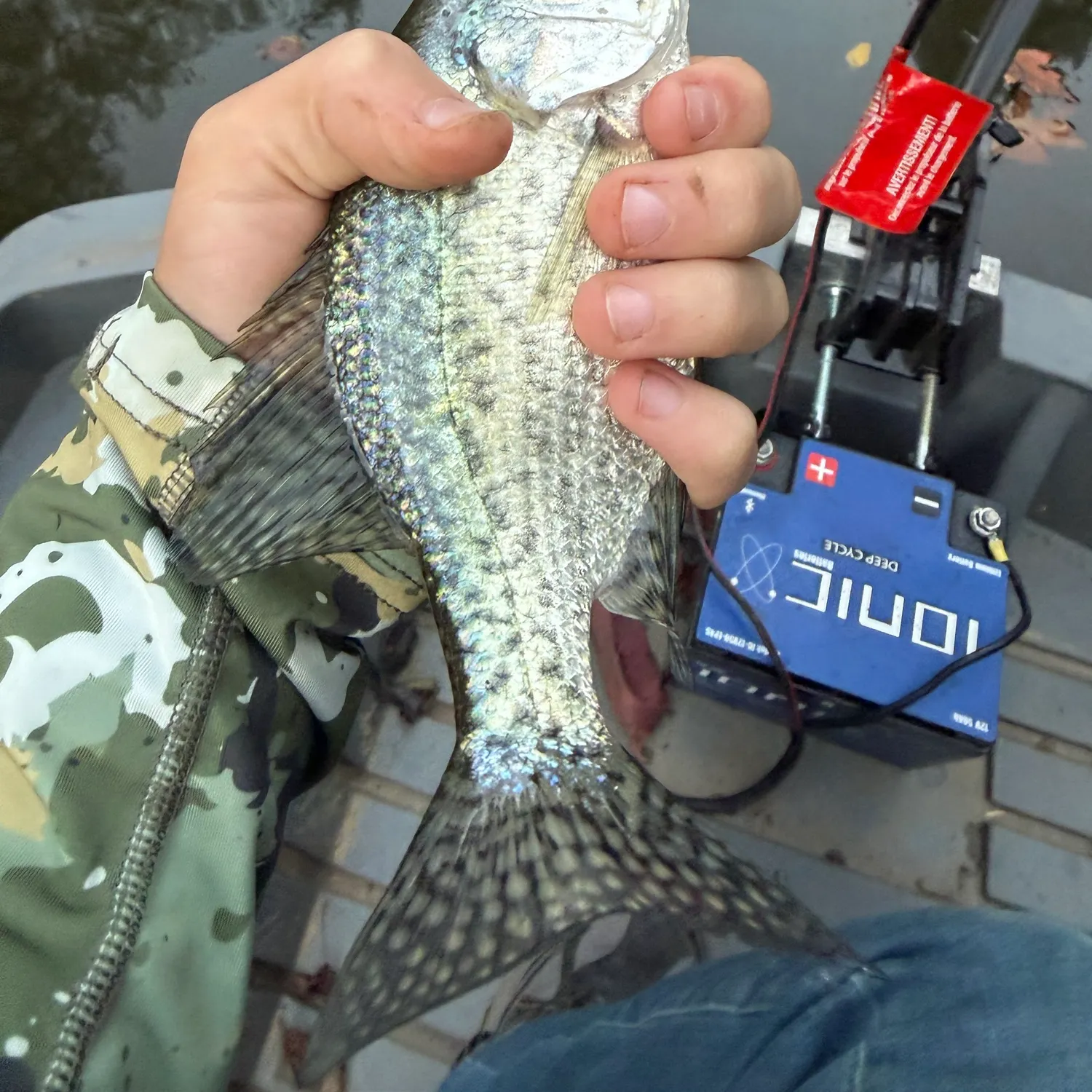 Black crappie caught on Fishbrain