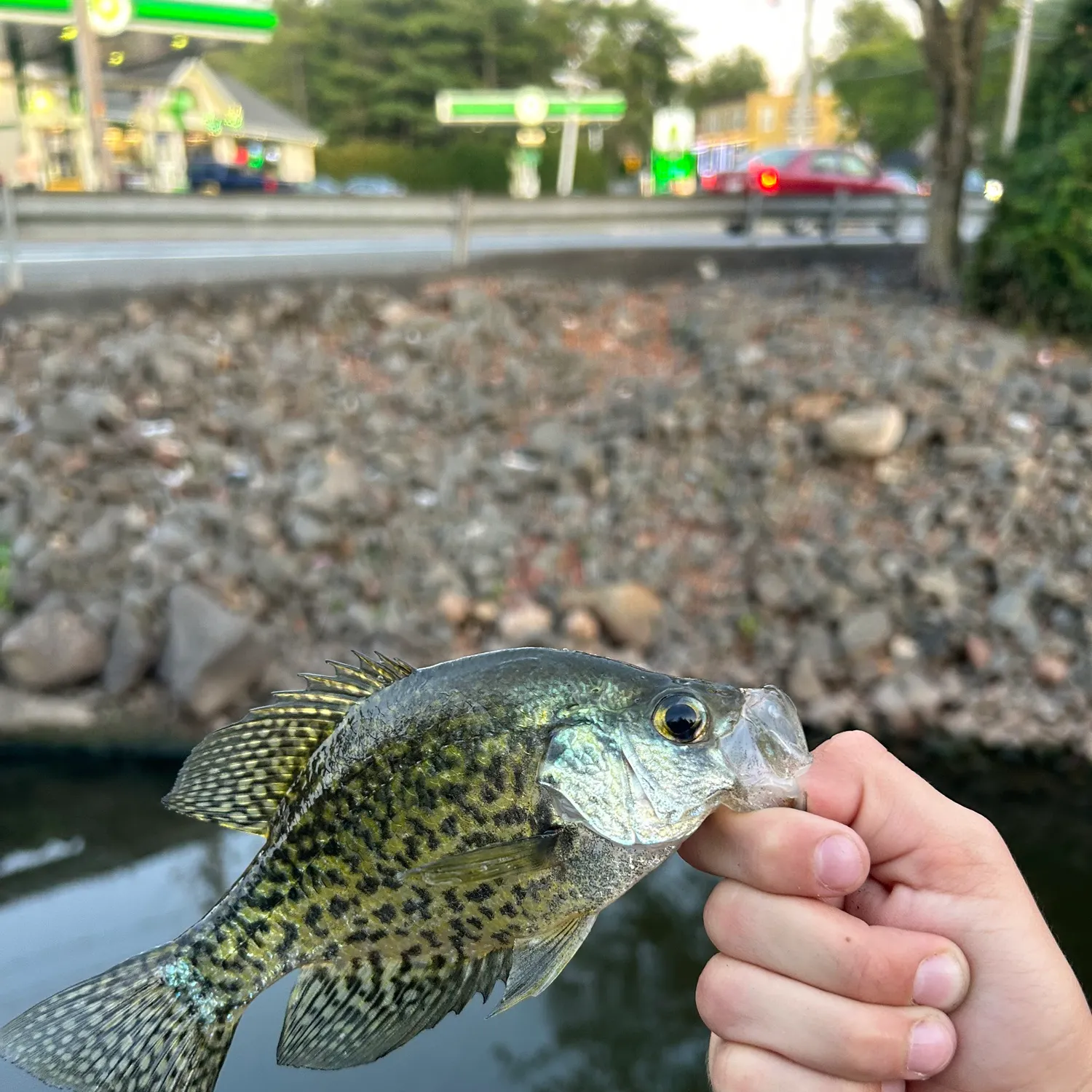 catch