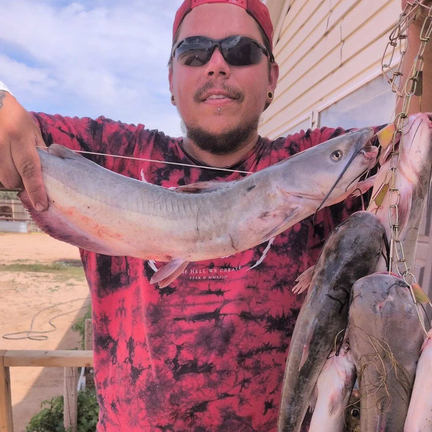 Channel catfish caught on Fishbrain