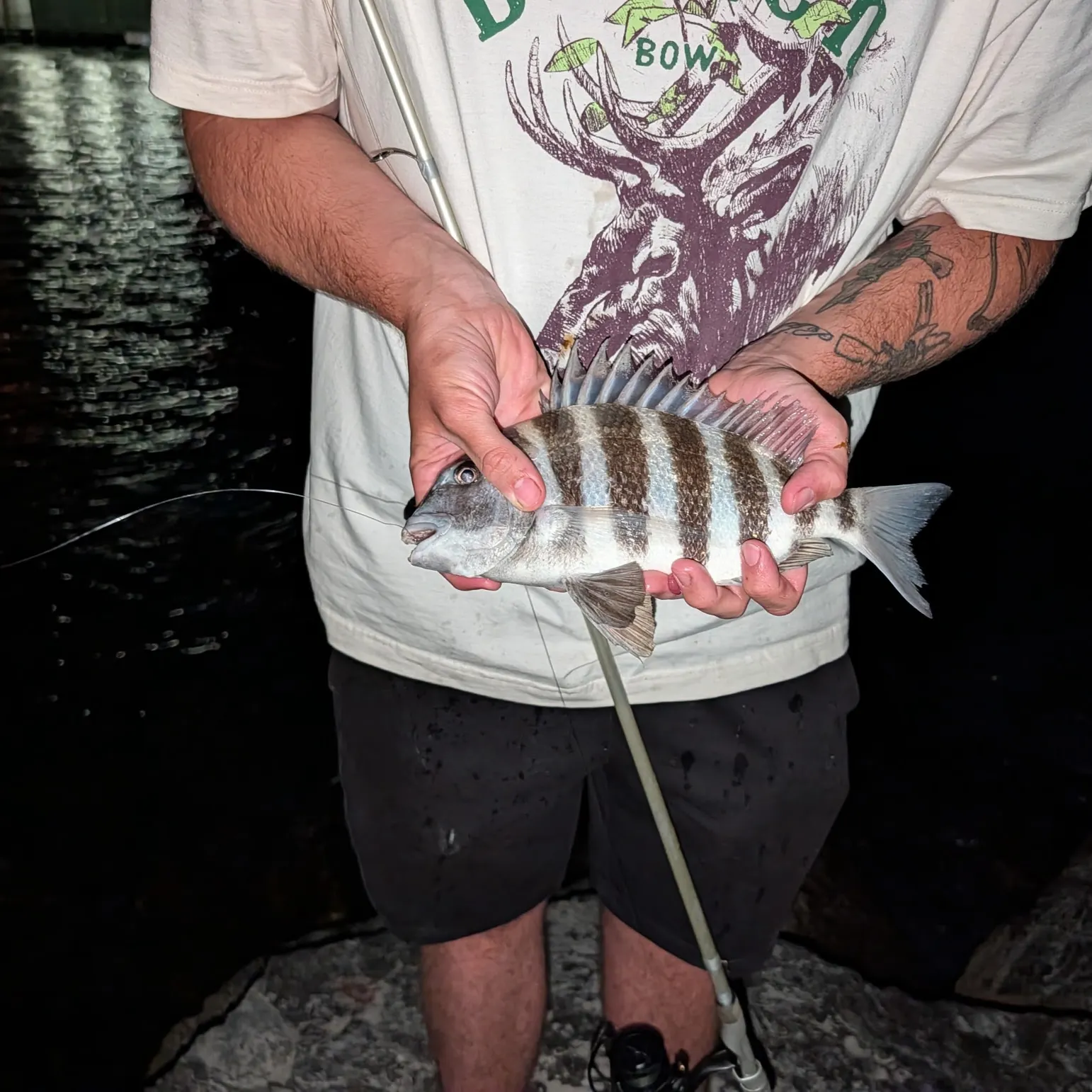 The most recent Sheepshead catches on Fishbrain