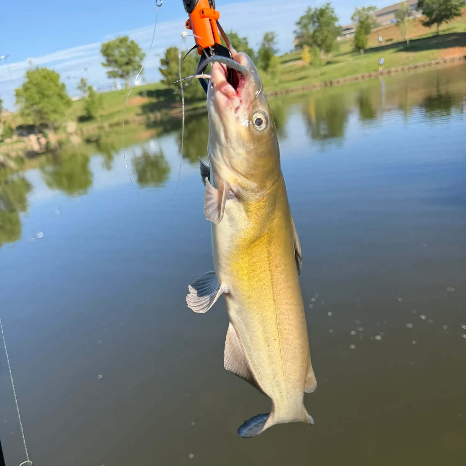 catch