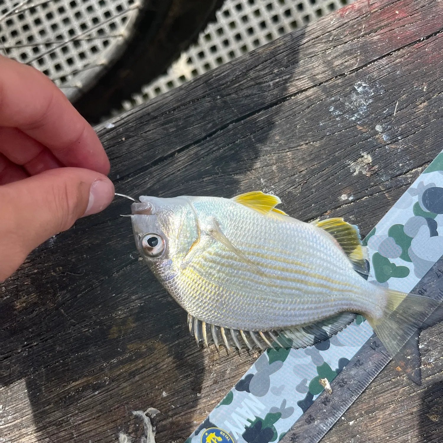 catch