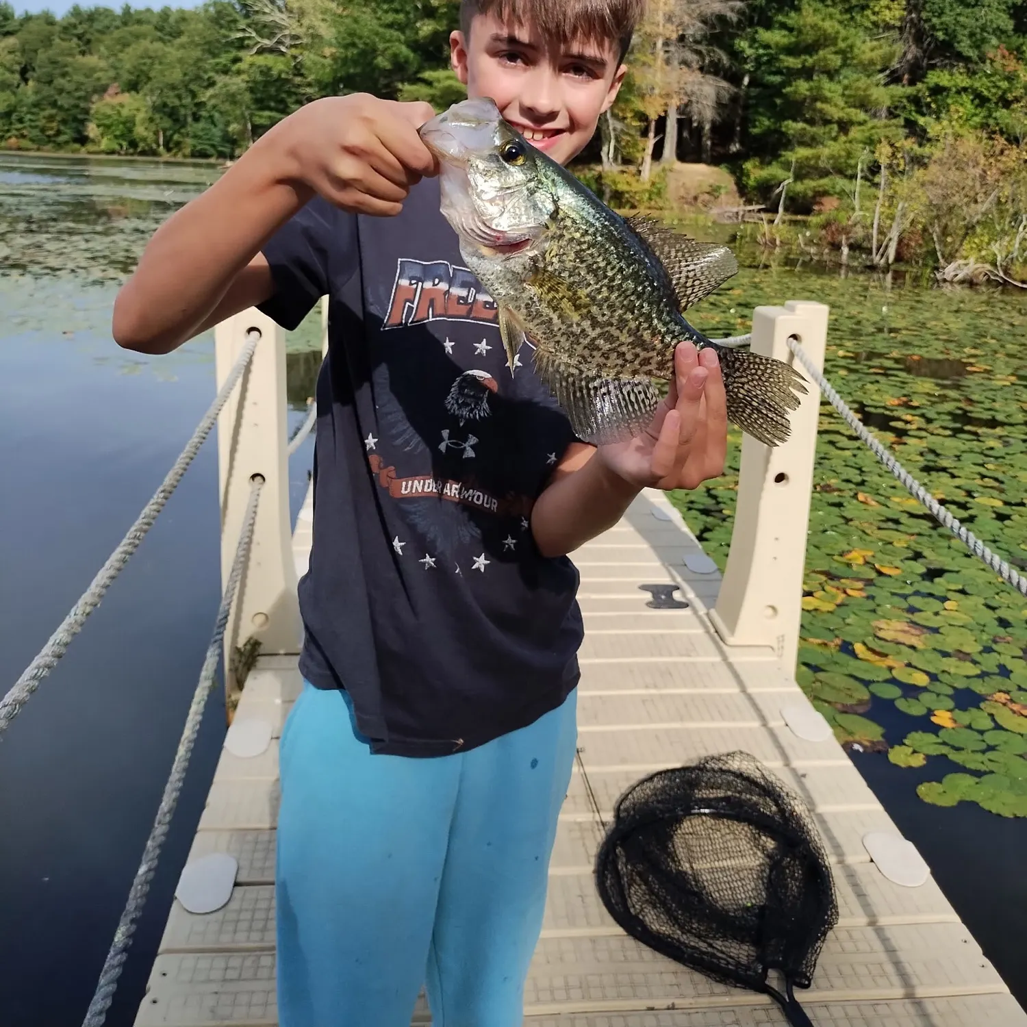 Black crappie caught on Fishbrain