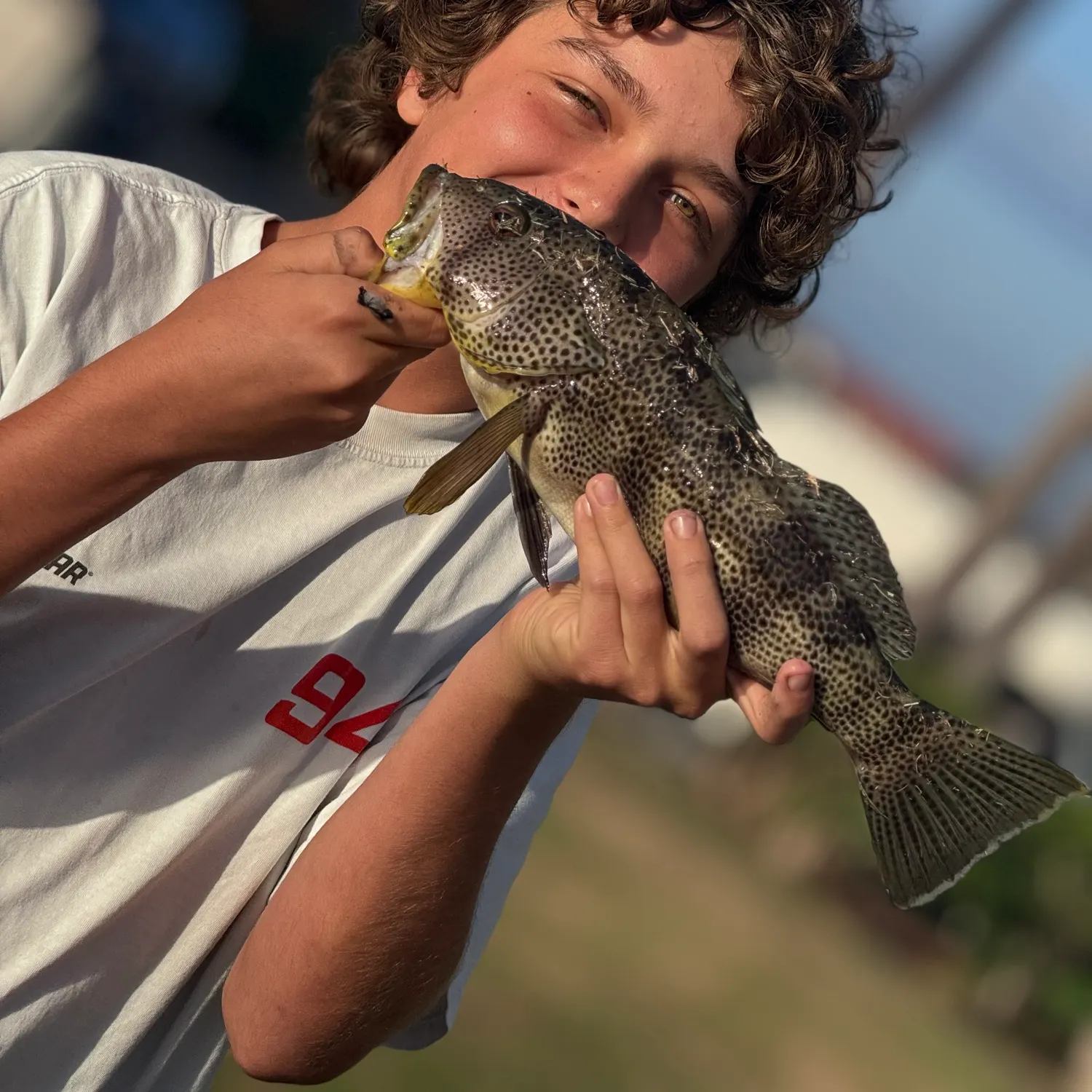 Spotted sand bass caught on Fishbrain