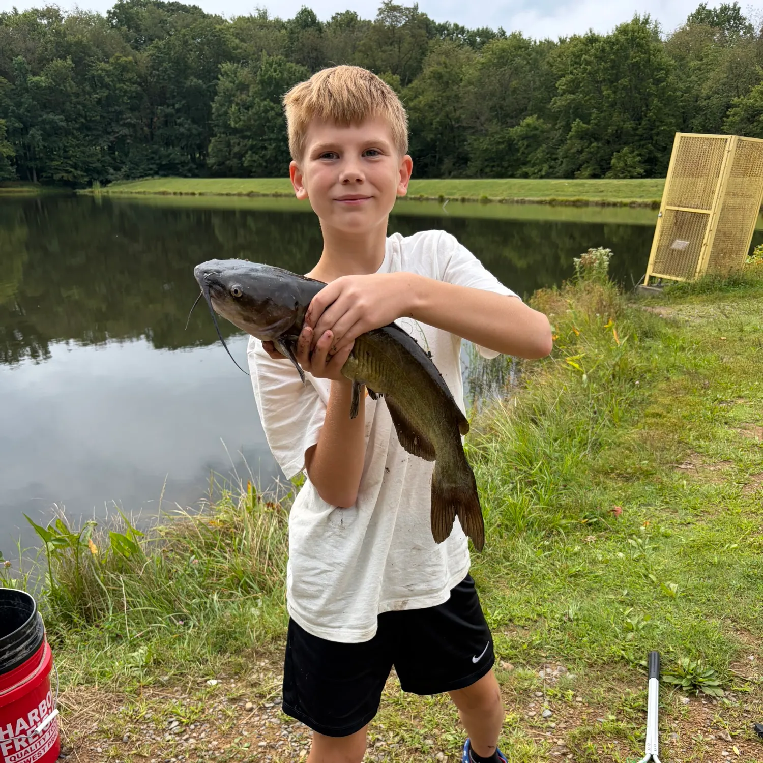 Channel catfish caught on Fishbrain