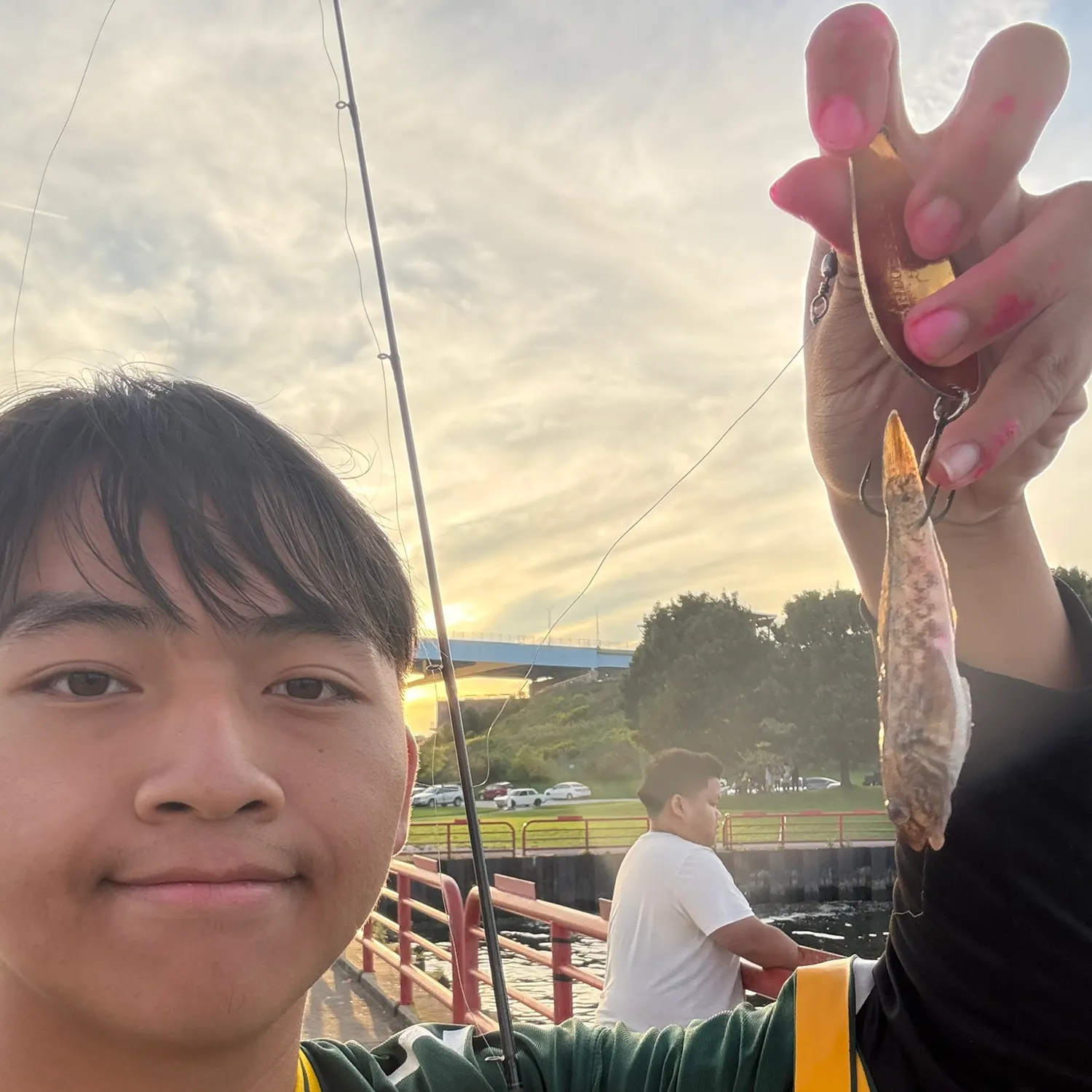 The most recent Round goby catches on Fishbrain
