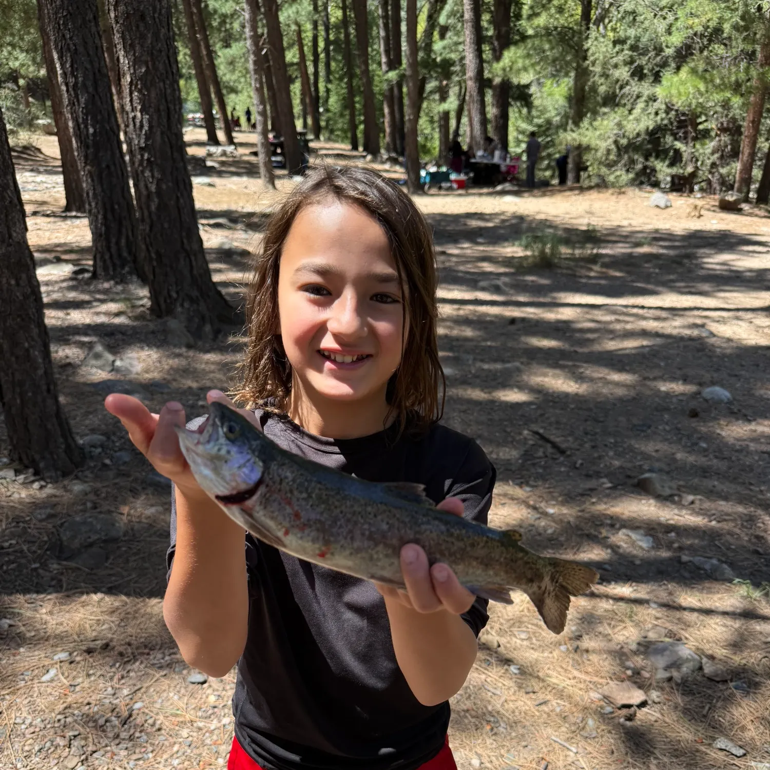 Rainbow trout caught on Fishbrain