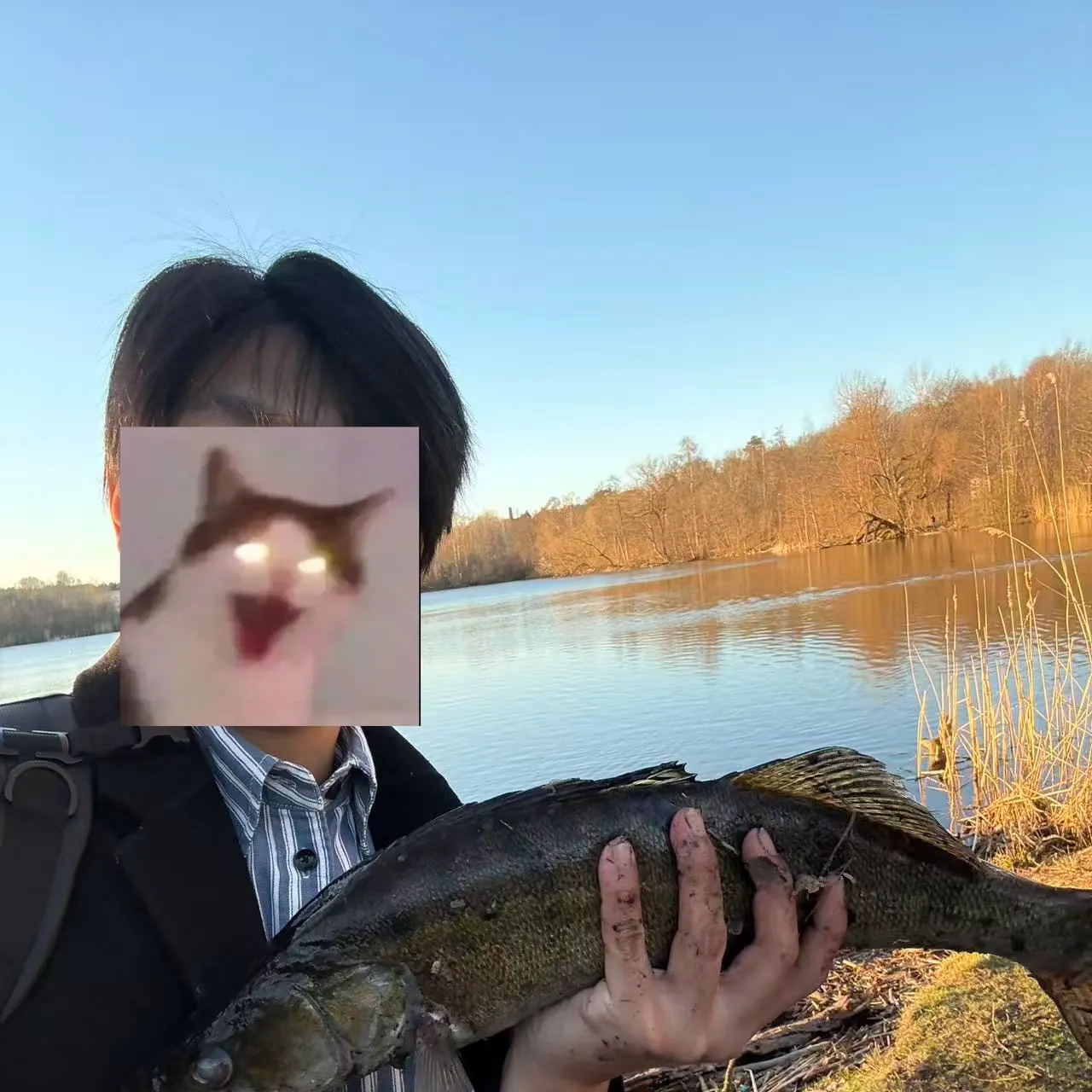 The most recent Zander catches on Fishbrain
