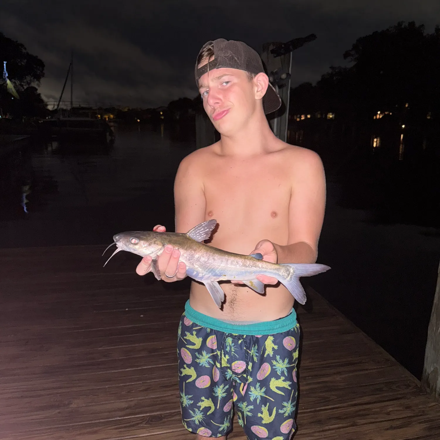 The most recent Hardhead sea catfish catches on Fishbrain