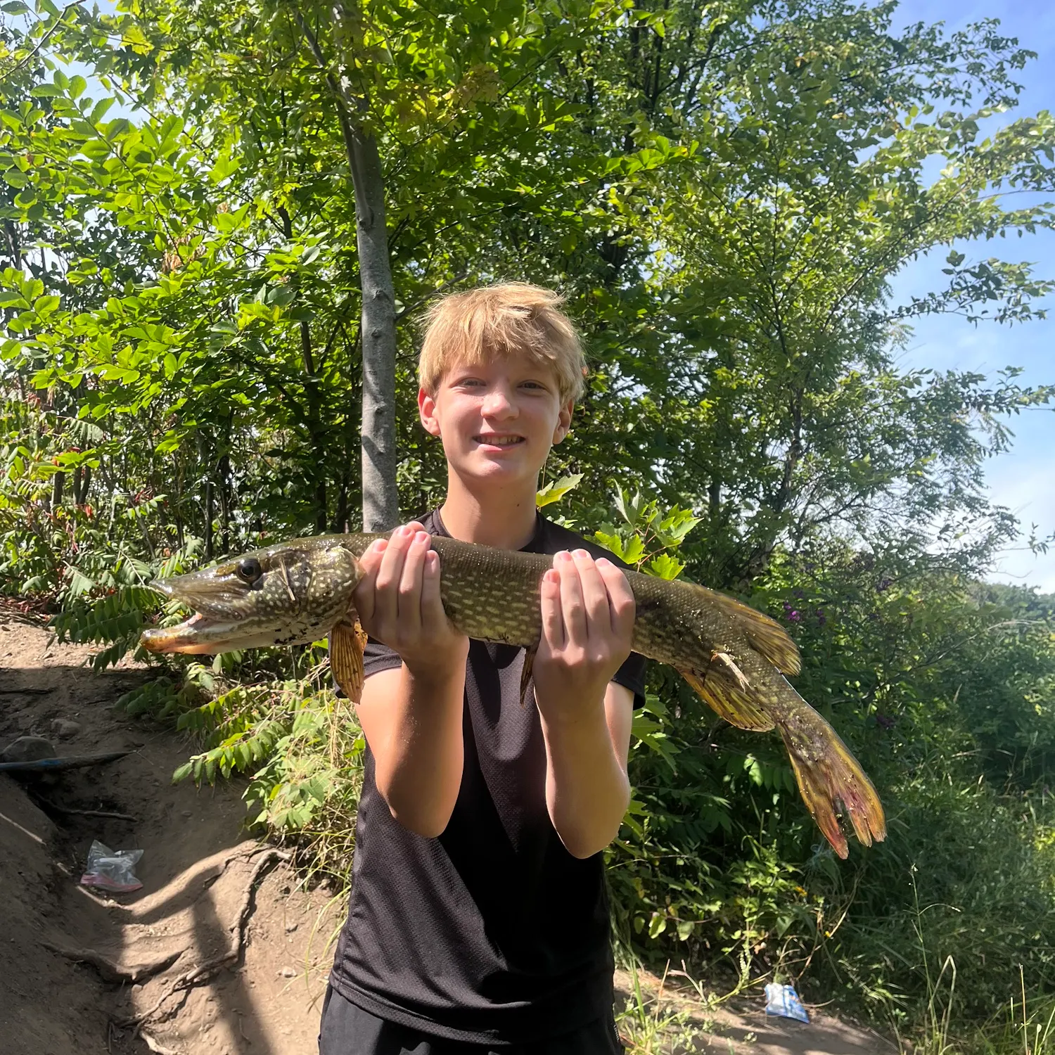 Northern pike caught on Fishbrain