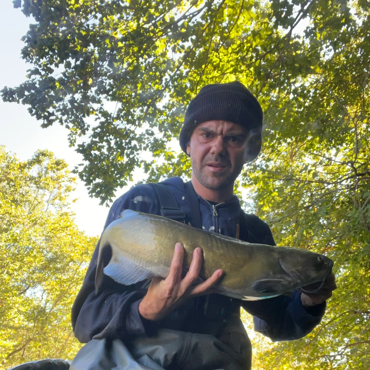 Channel catfish caught on Fishbrain