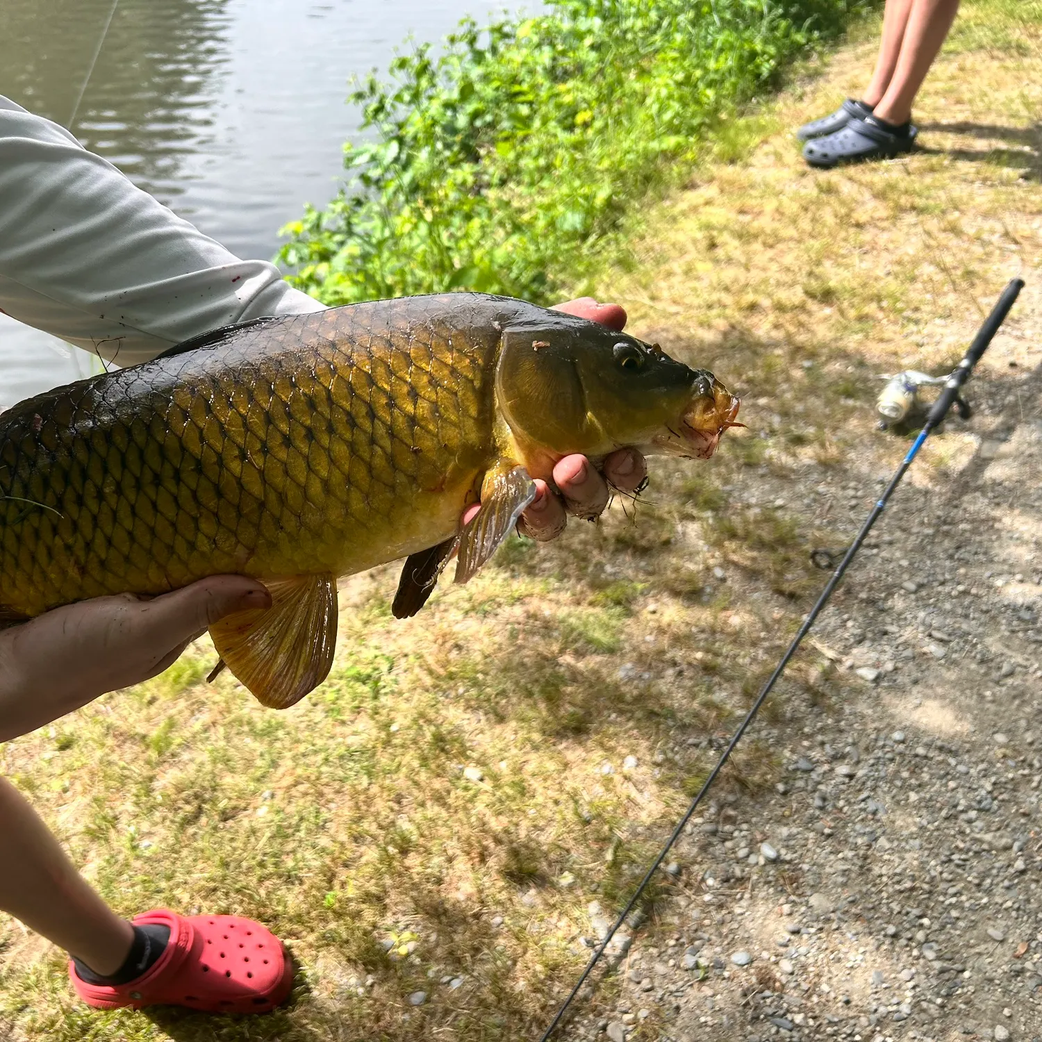catch