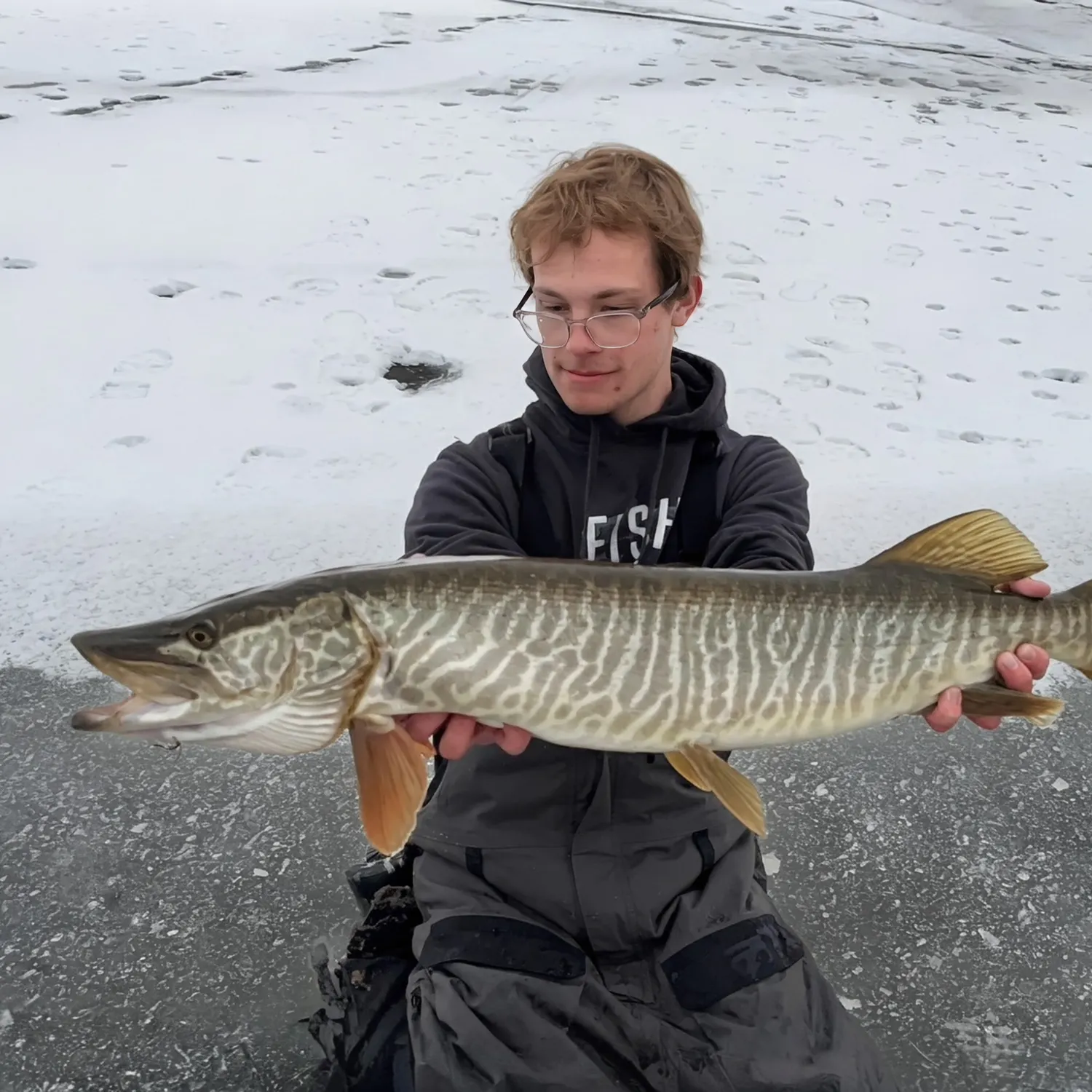 The most recent Tiger muskellunge catches on Fishbrain
