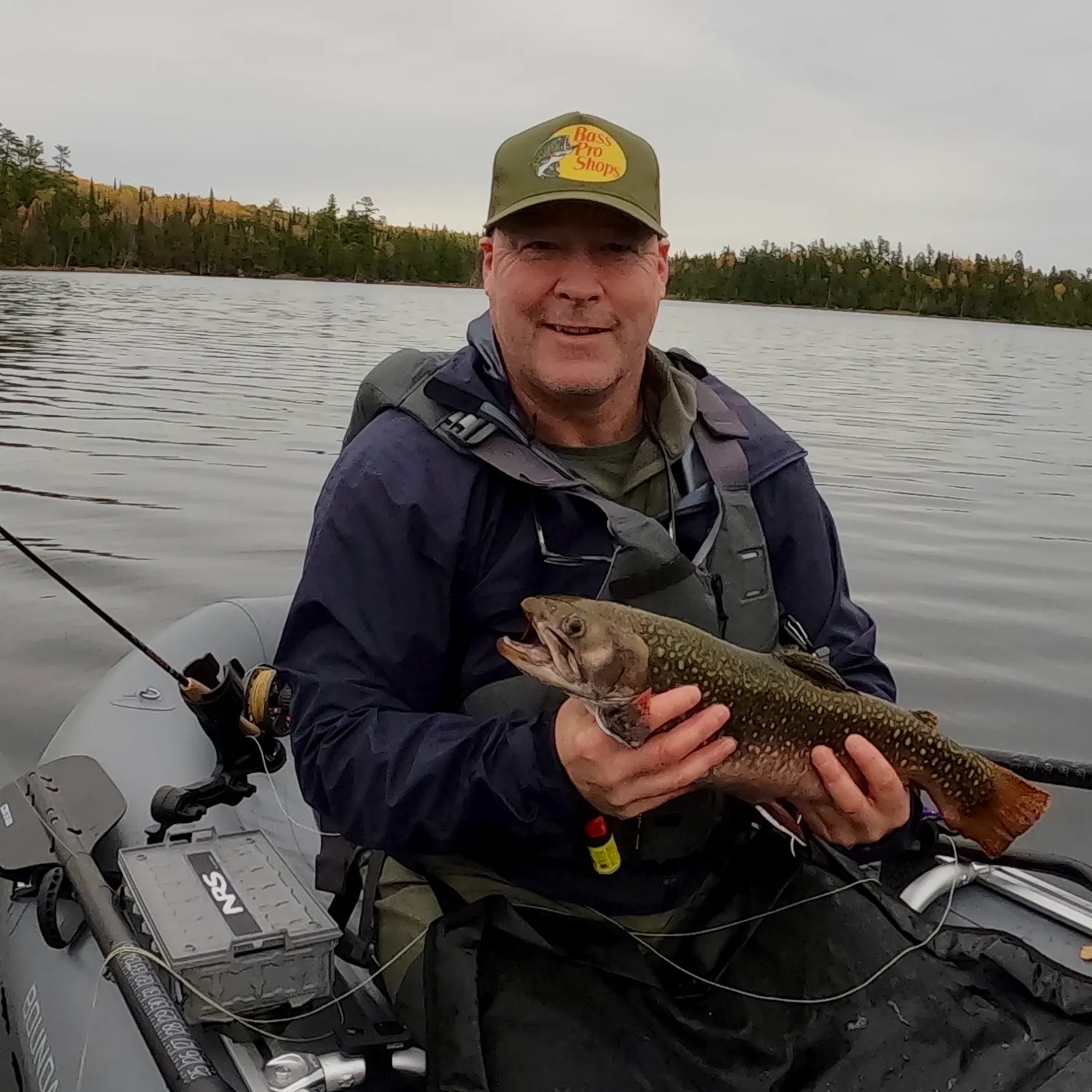 Brook trout caught on Fishbrain