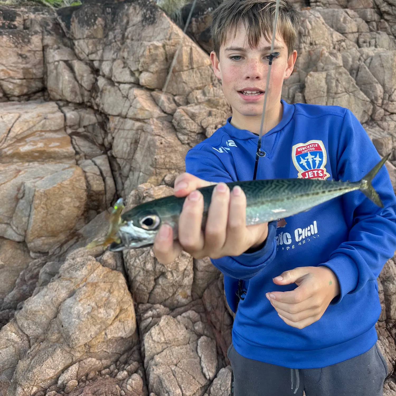 The most recent Blue mackerel catches on Fishbrain