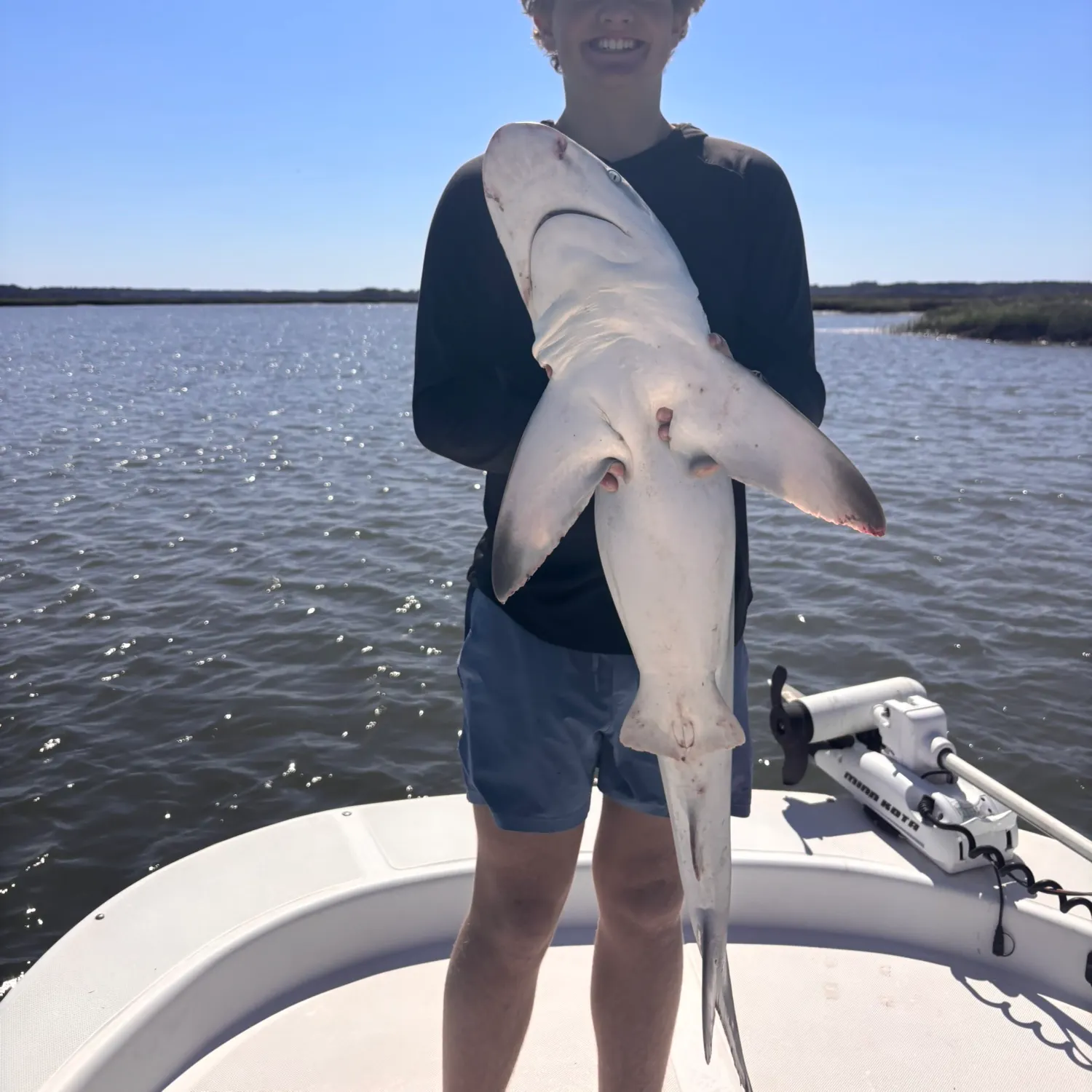 The most recent Finetooth shark catches on Fishbrain