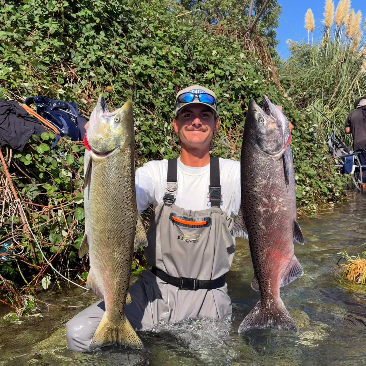 Chinook salmon caught on Fishbrain