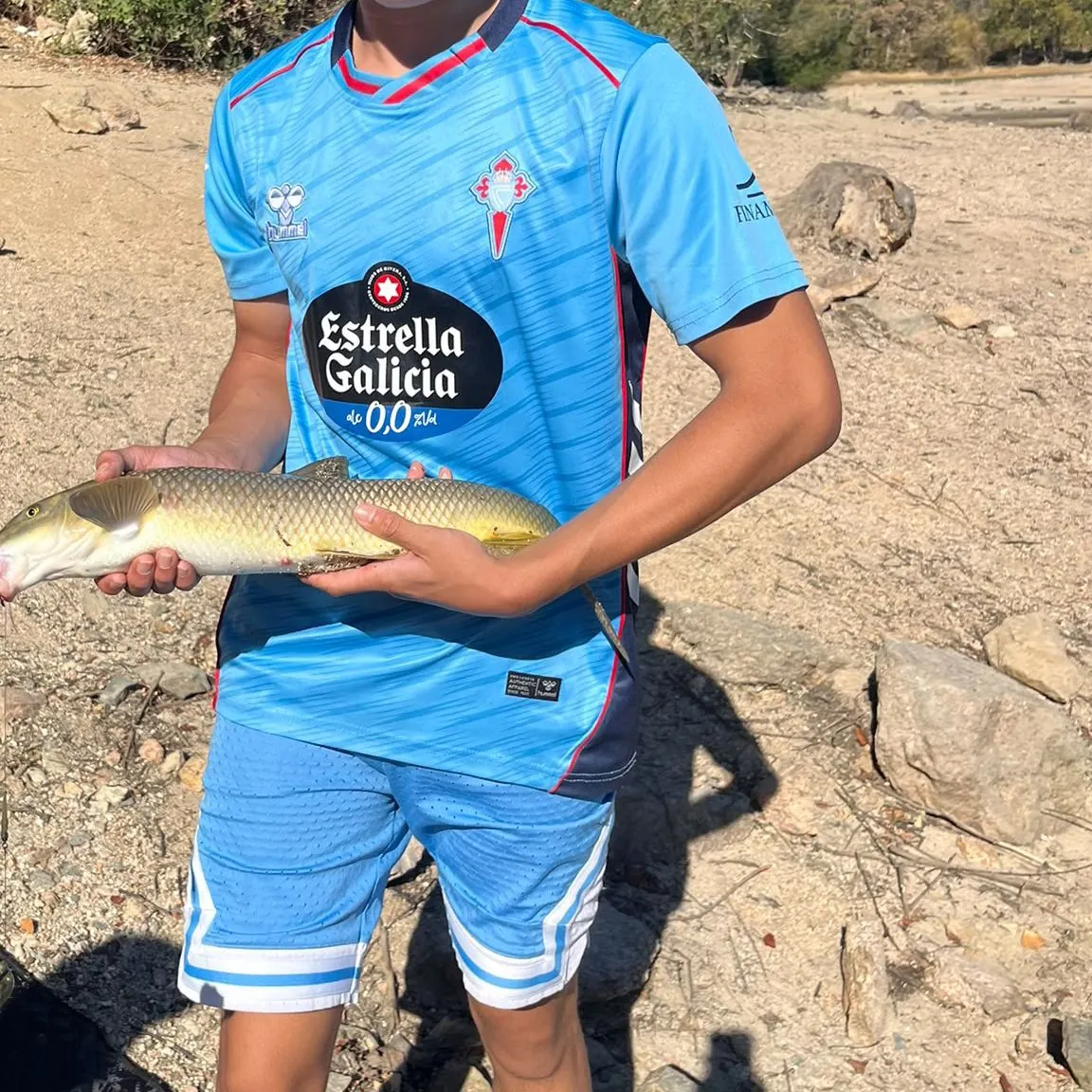 The most recent Northern barbel catches on Fishbrain