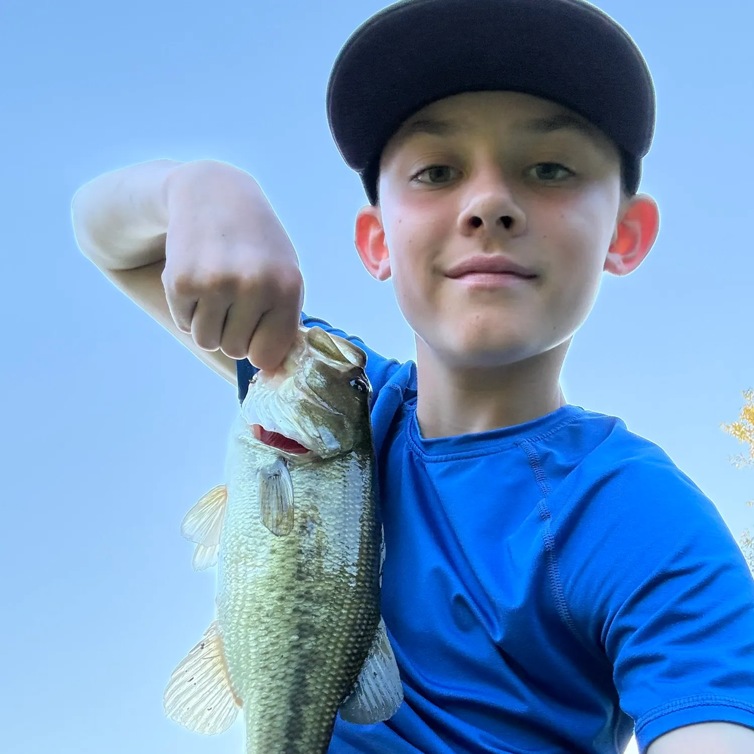 Fish caught on Fishbrain
