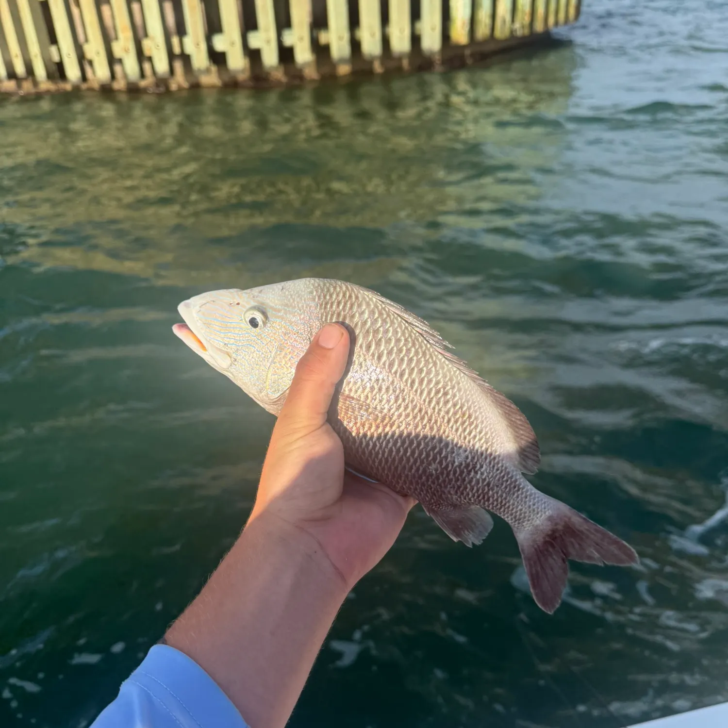 catch