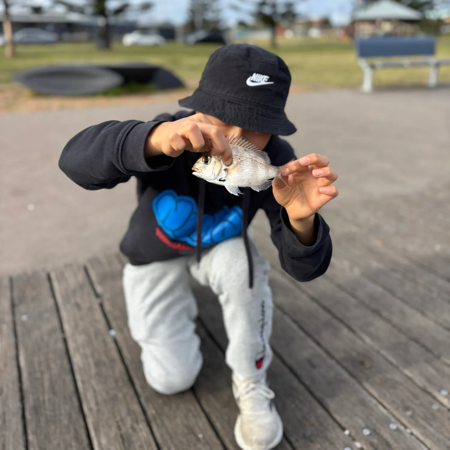 Southern black bream caught on Fishbrain