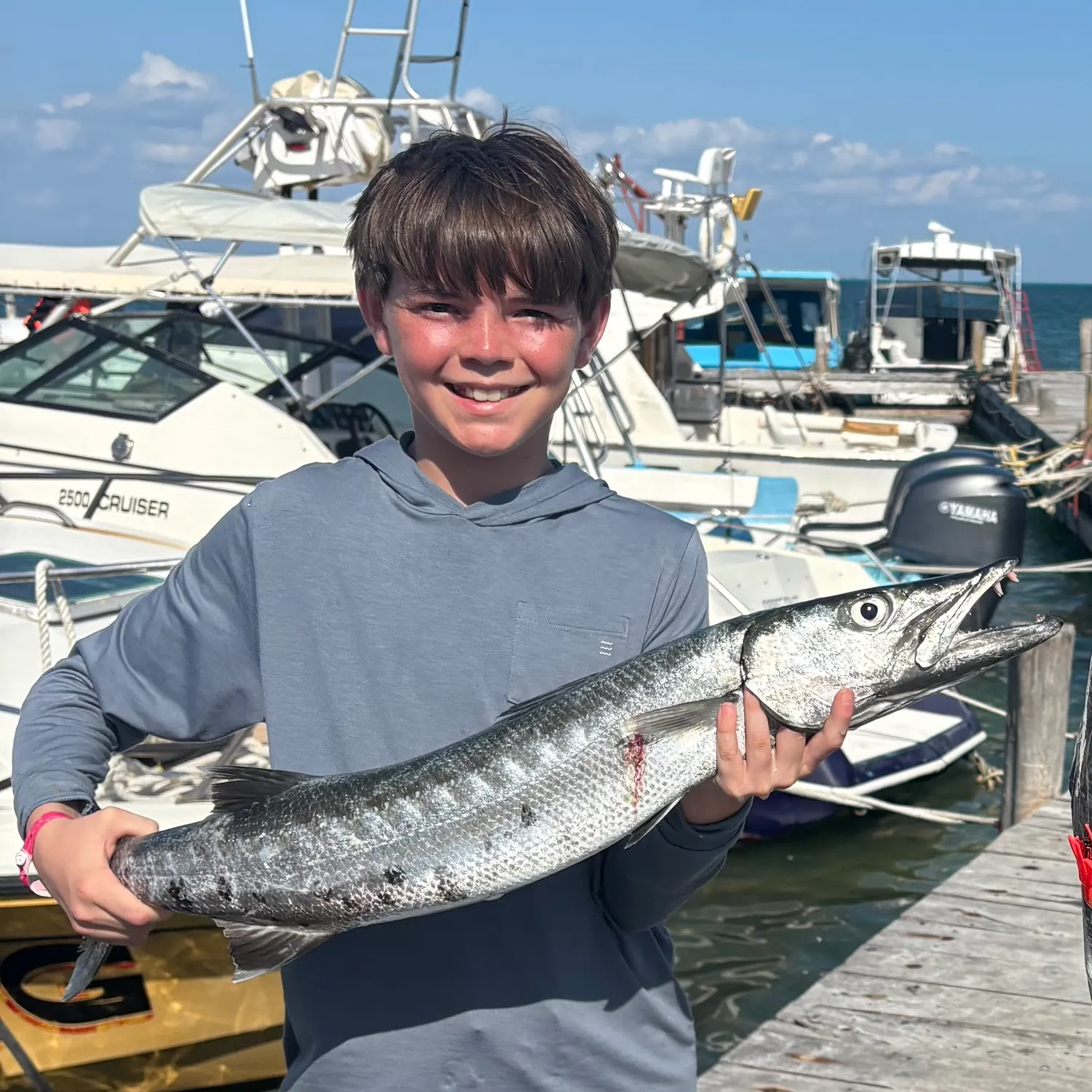 The most recent Mexican barracuda catches on Fishbrain