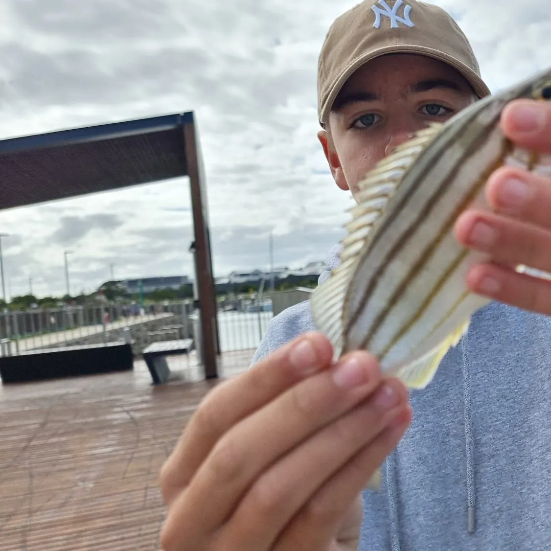 The most recent Eastern striped grunter catches on Fishbrain