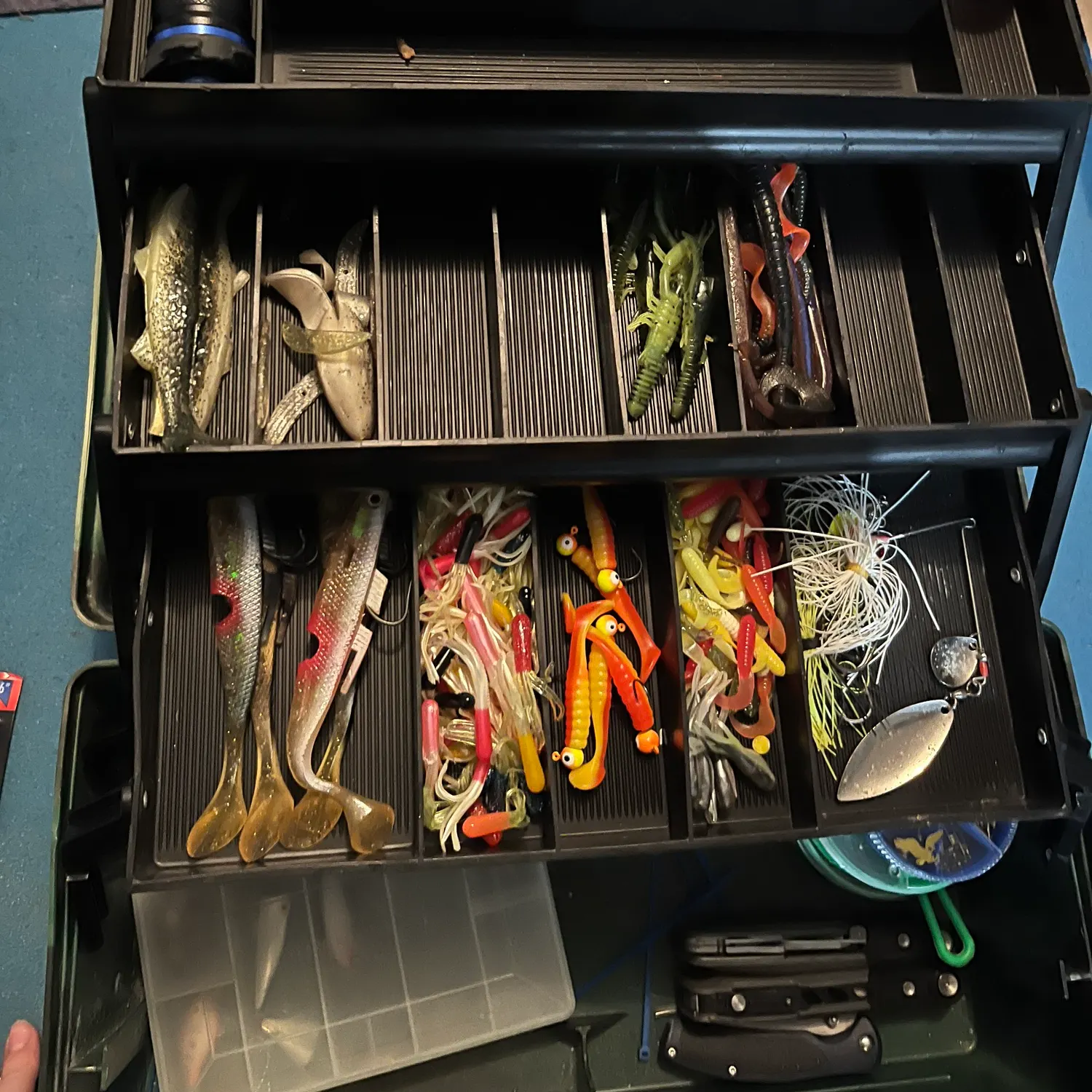 The most recent Little tunny catches on Fishbrain