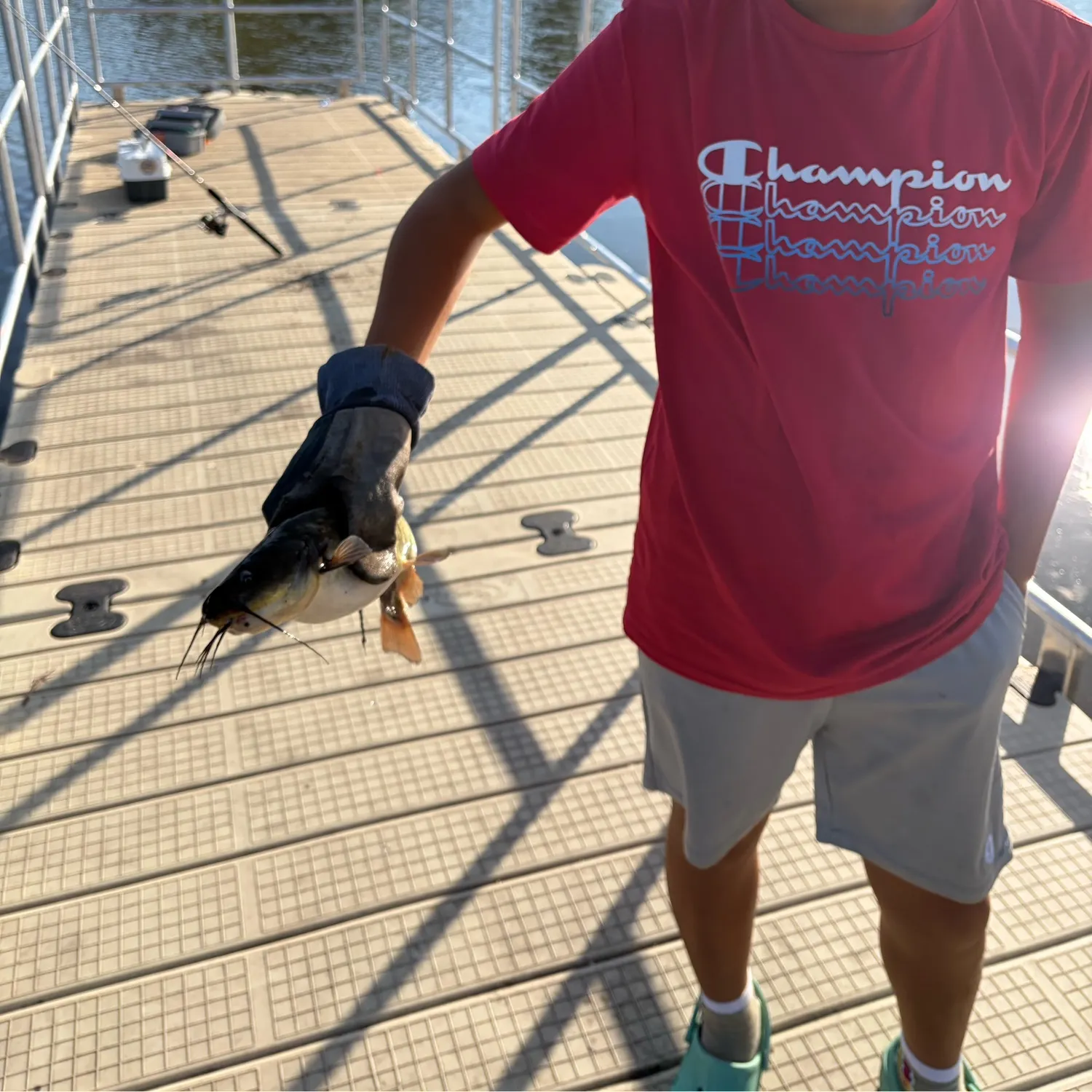 Yellow bullhead caught on Fishbrain