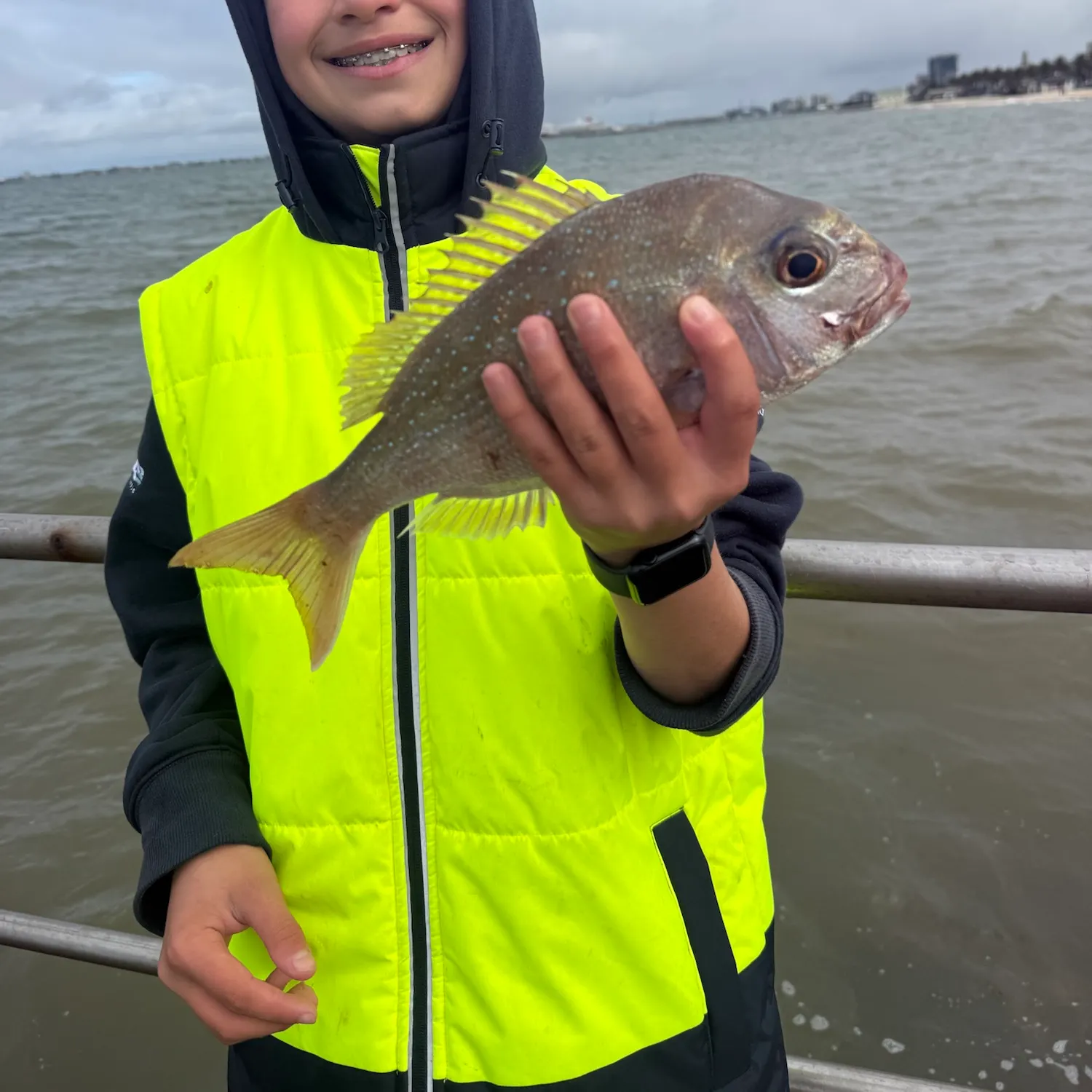 Australasian snapper caught on Fishbrain