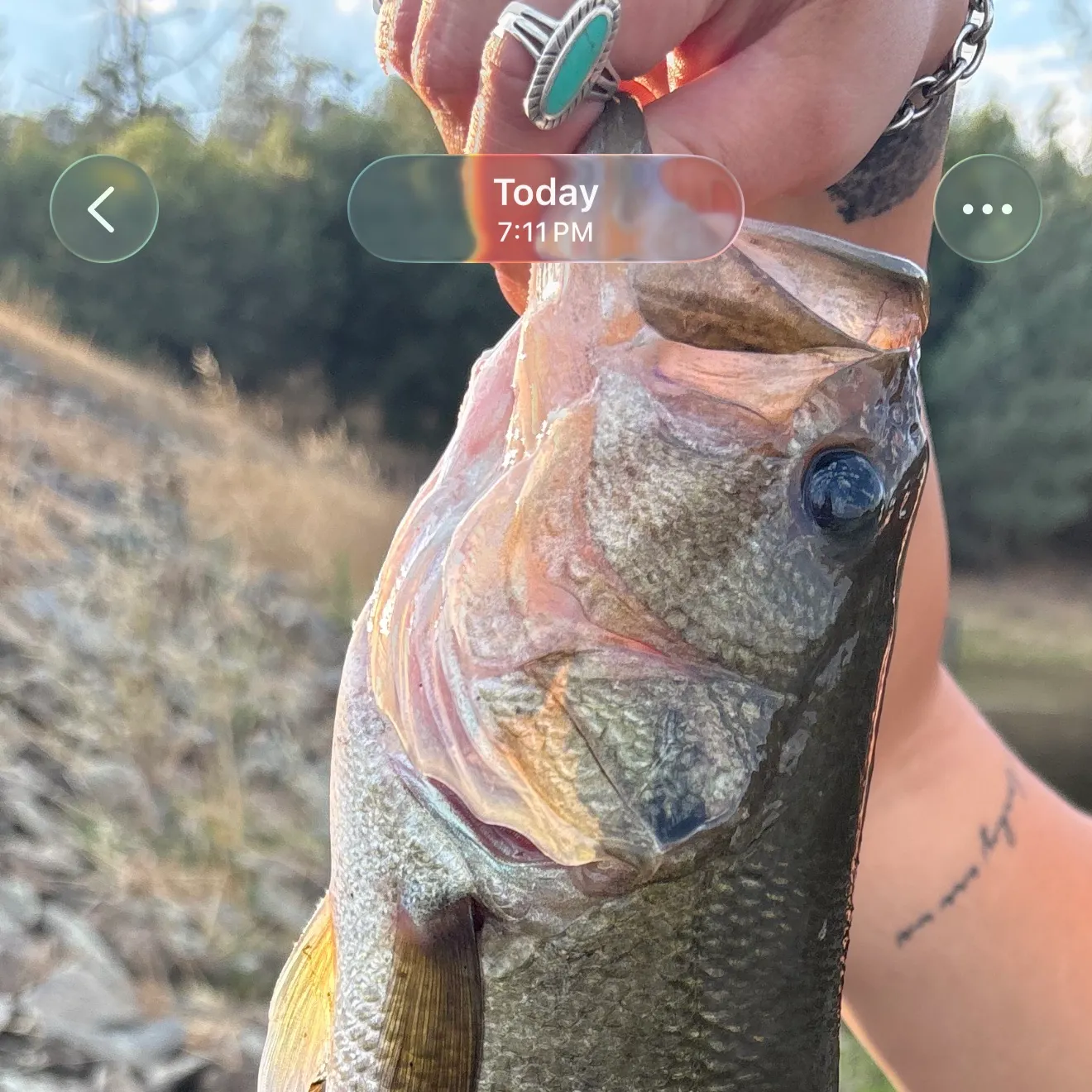 catch