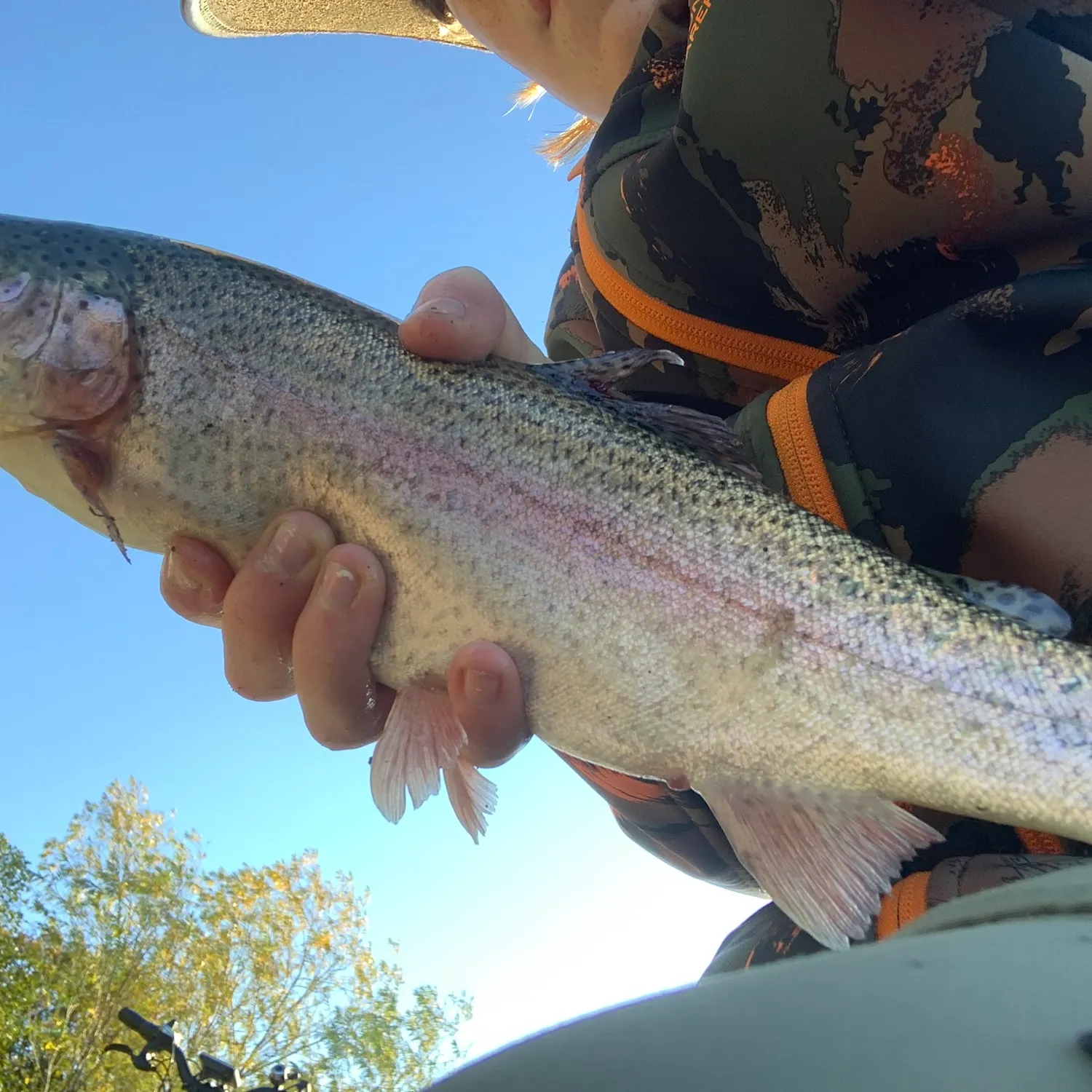 Rainbow trout caught on Fishbrain