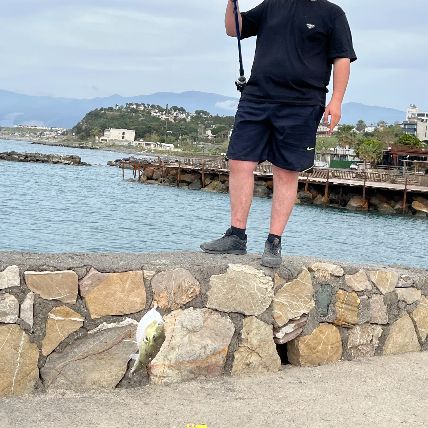 most liked catch image