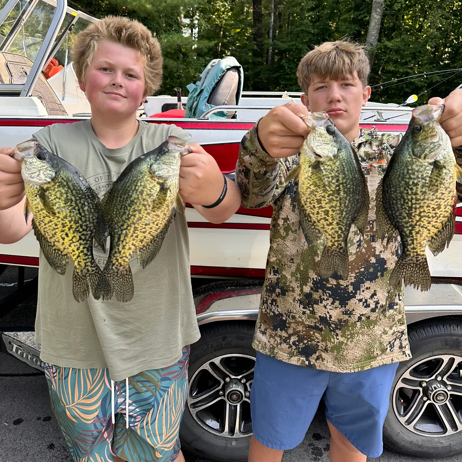 recently logged catches