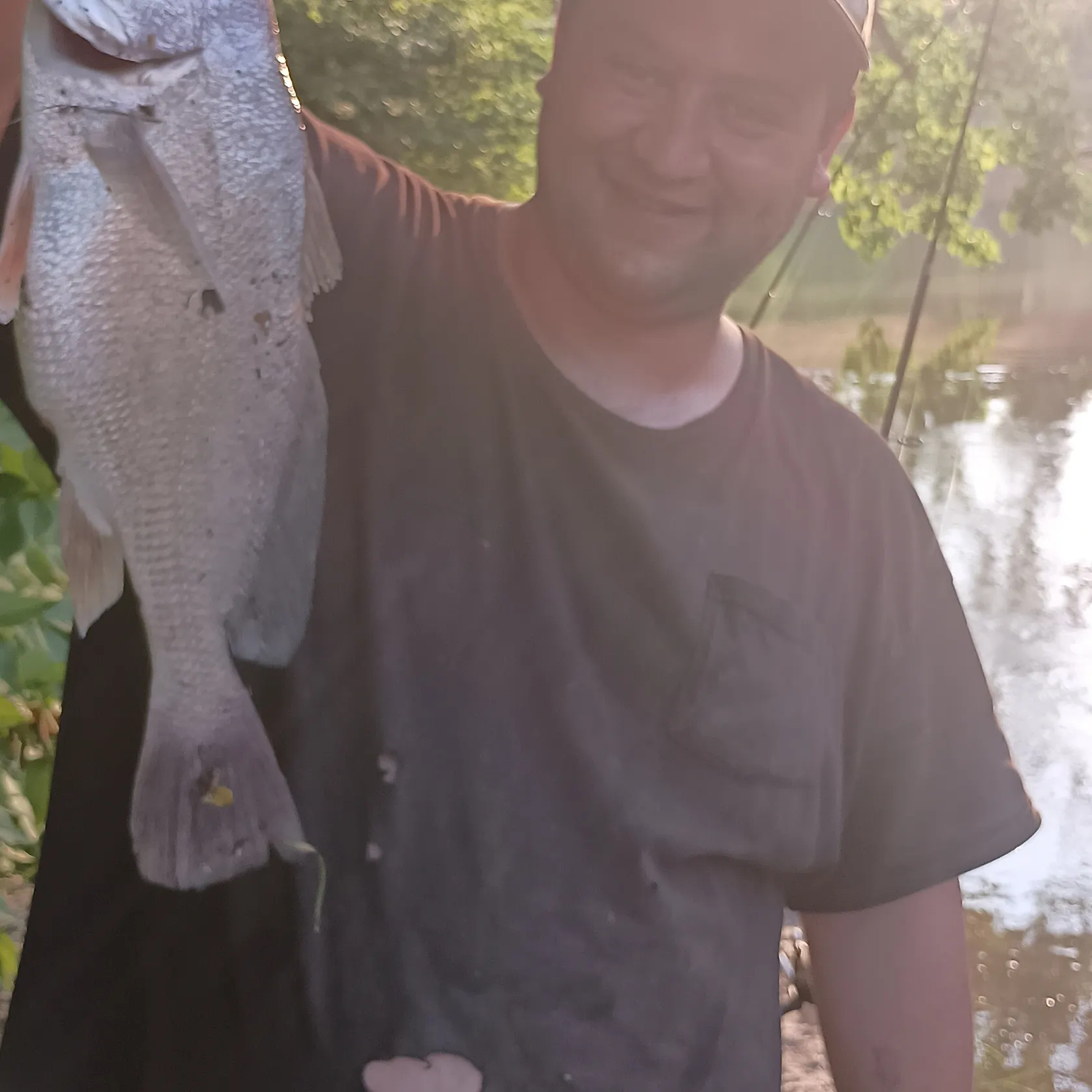most liked catch image