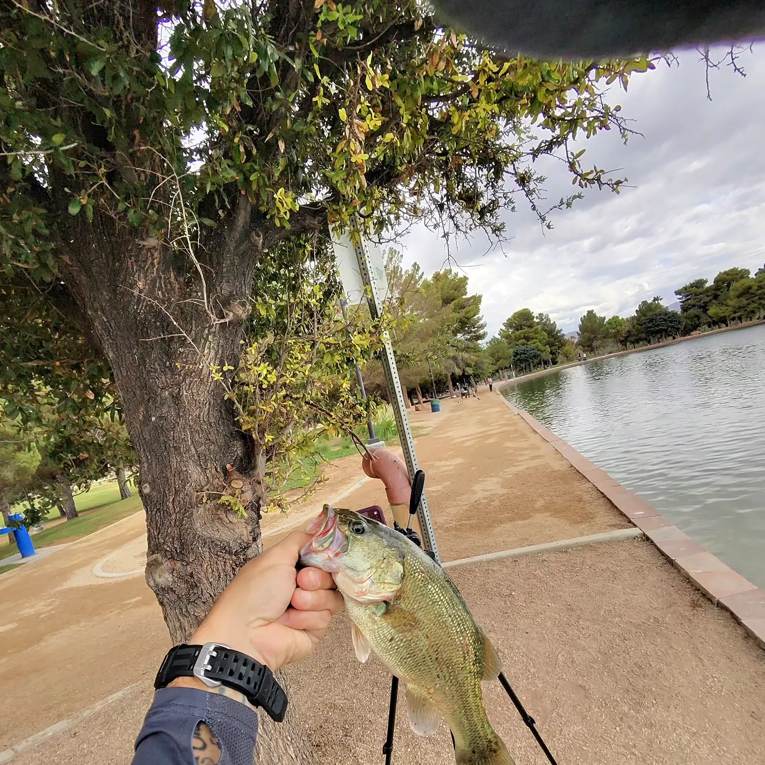 catch