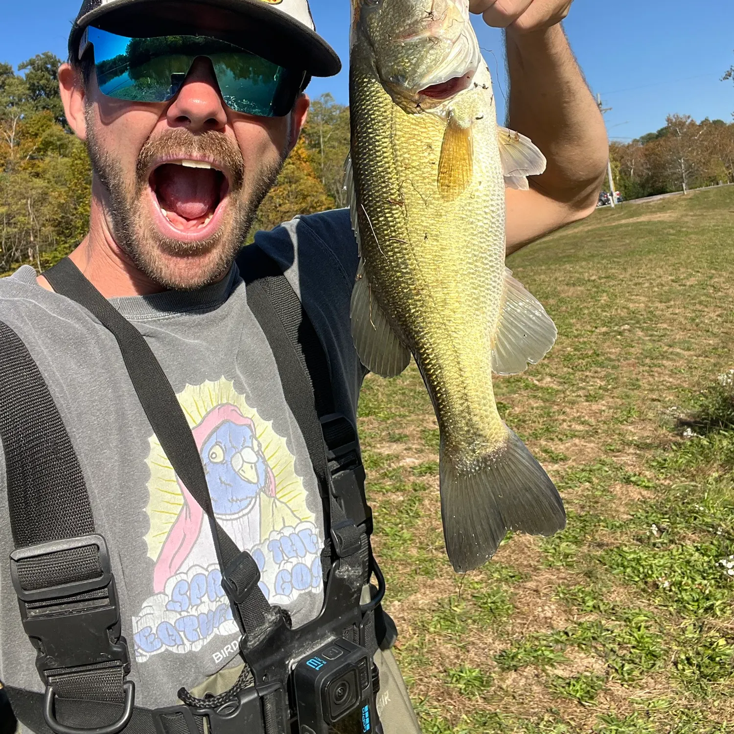Largemouth bass caught on Fishbrain