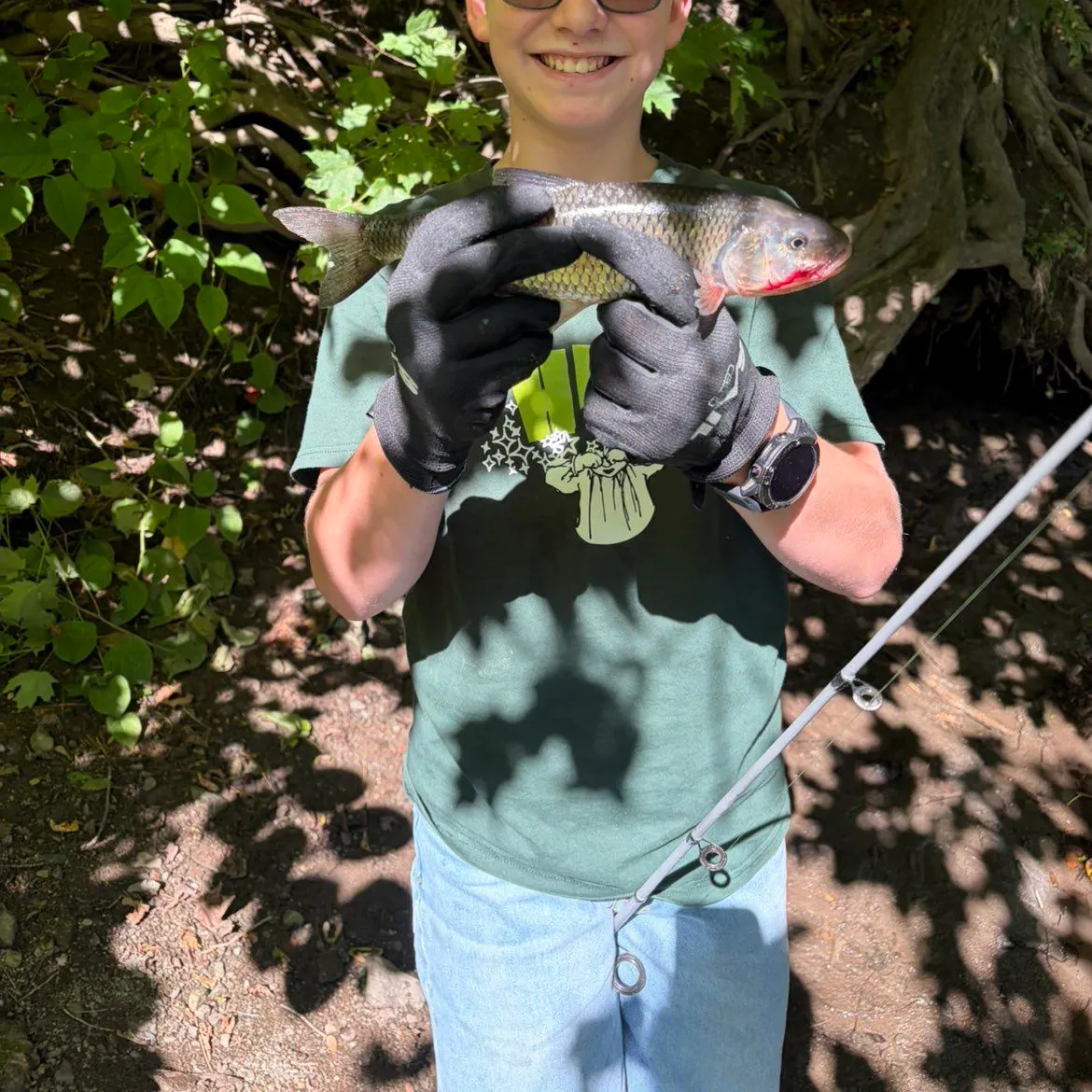 Fallfish caught on Fishbrain