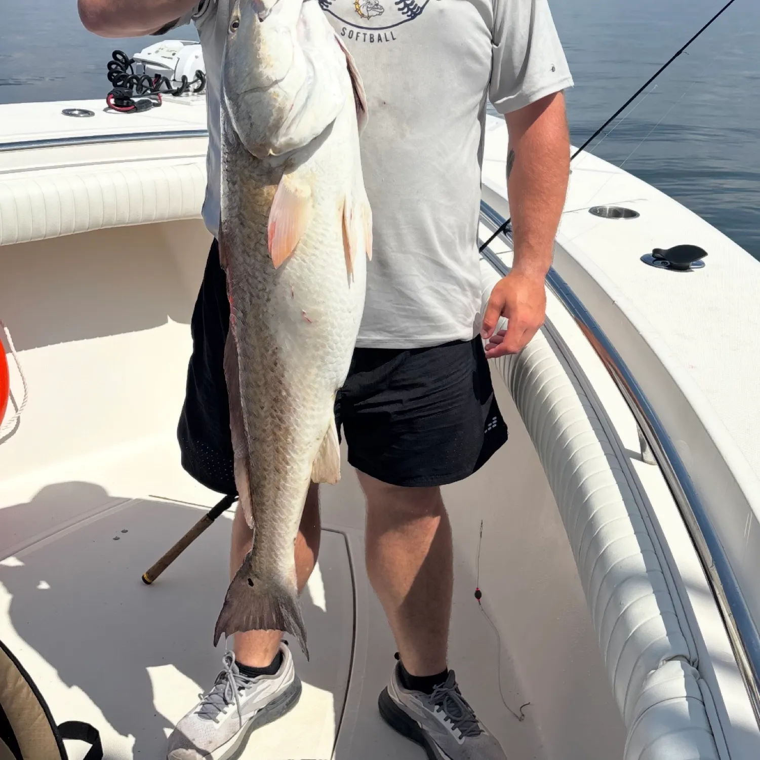angler catch